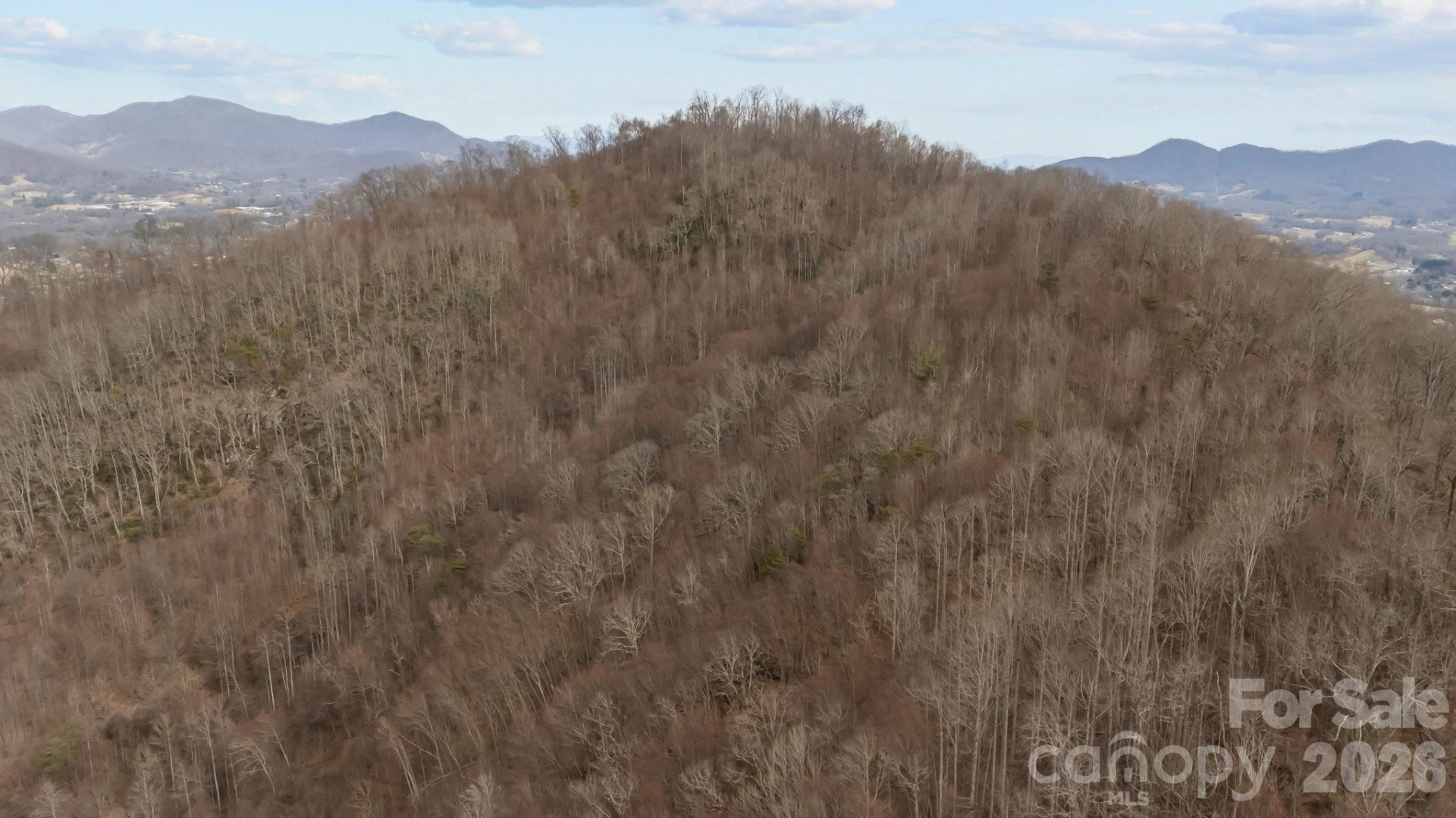 99999 Haynes Cove - Photo 4