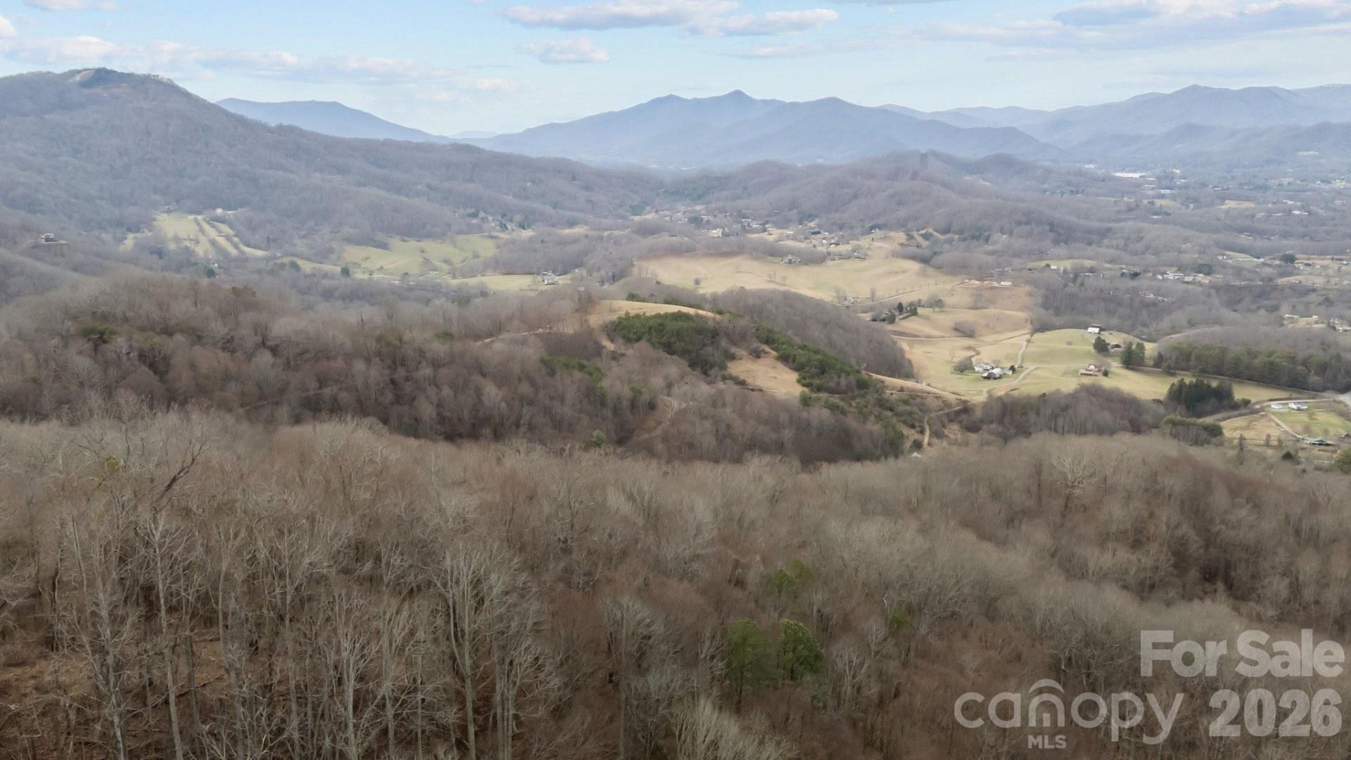 99999 Haynes Cove - Photo 5