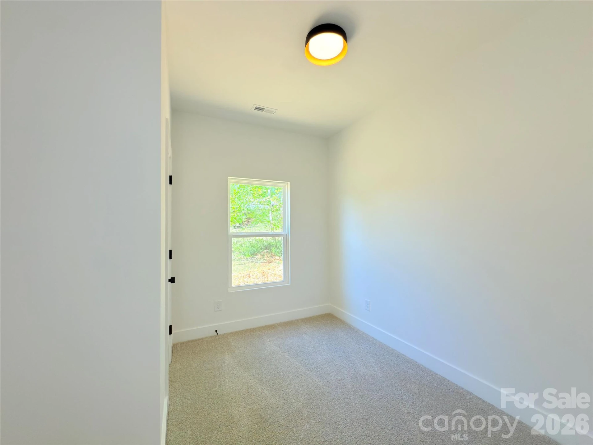 217 Carlie Street - Photo 15