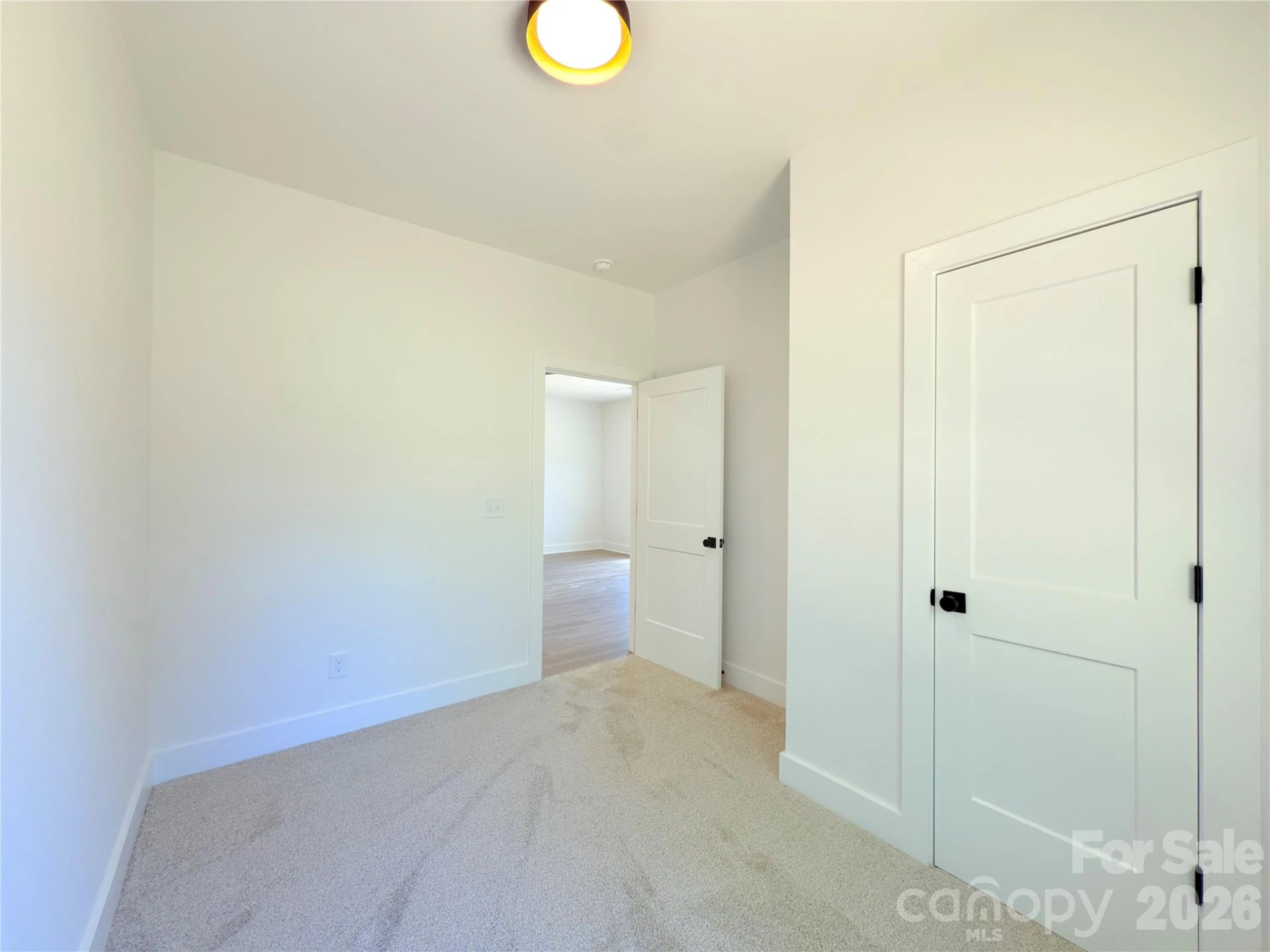 217 Carlie Street - Photo 16