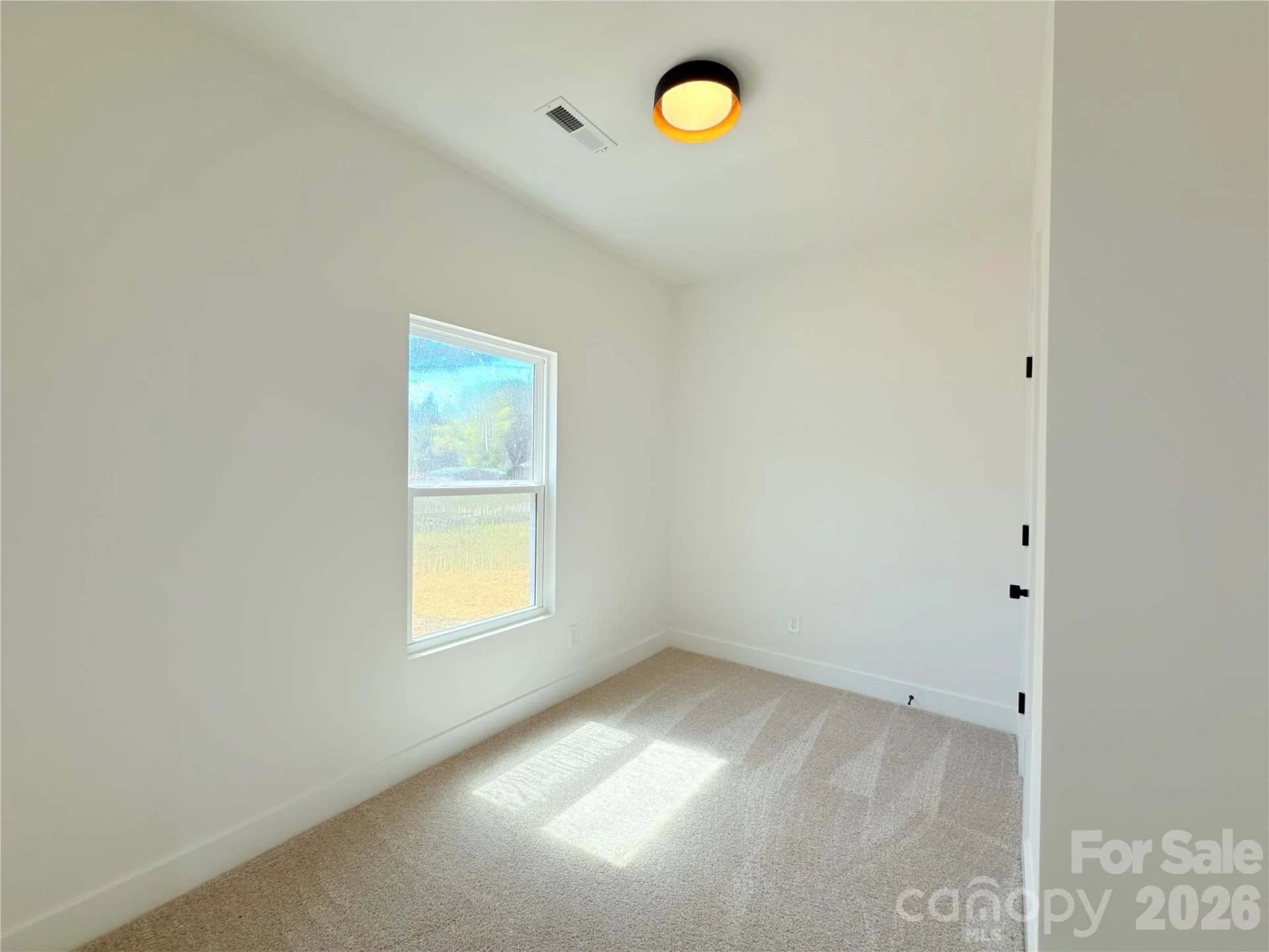 217 Carlie Street - Photo 17