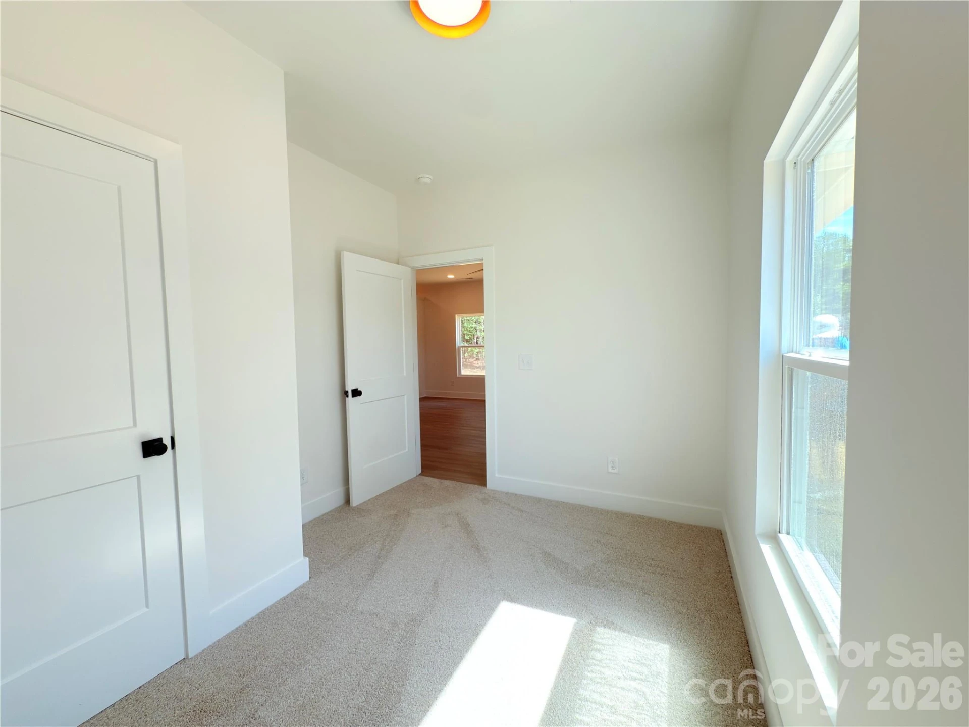 217 Carlie Street - Photo 18