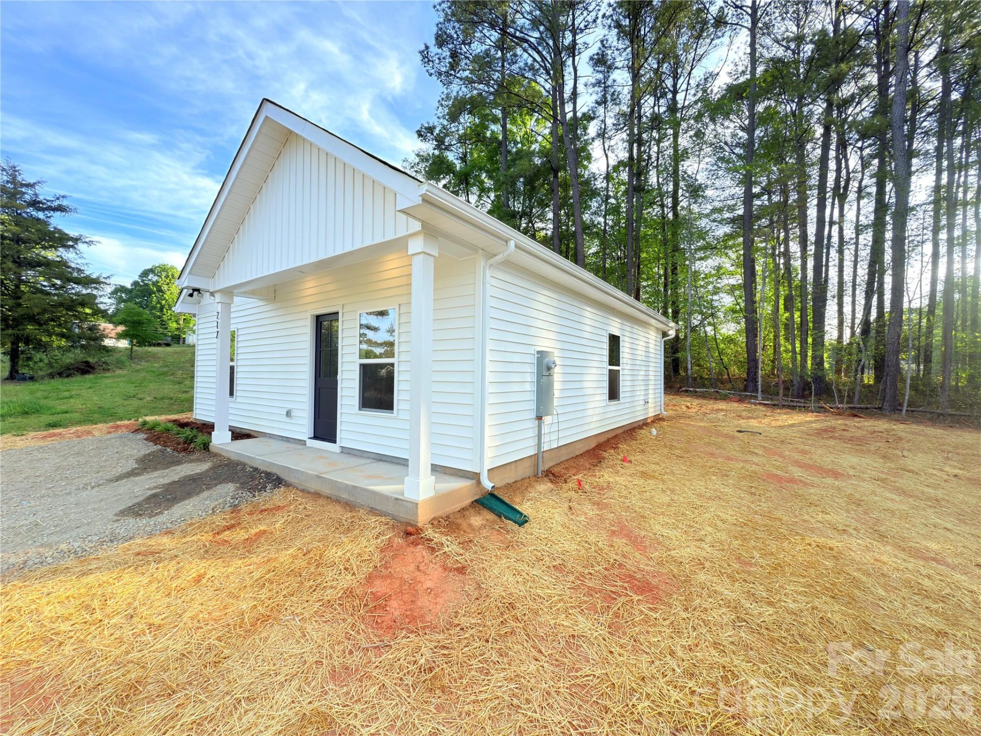 217 Carlie Street - Photo 3