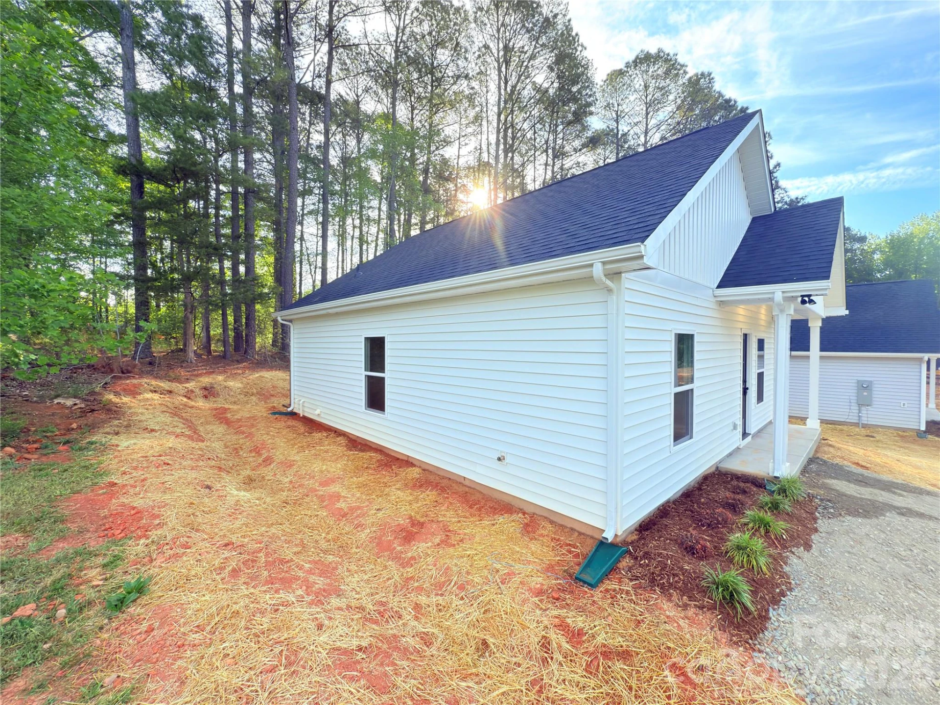 217 Carlie Street - Photo 4
