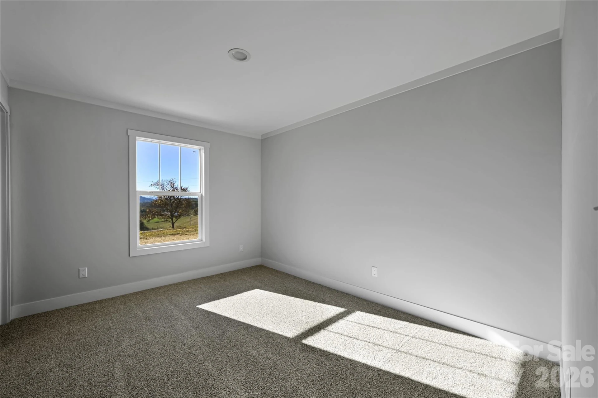 1675 Bull Creek Road - Photo 17