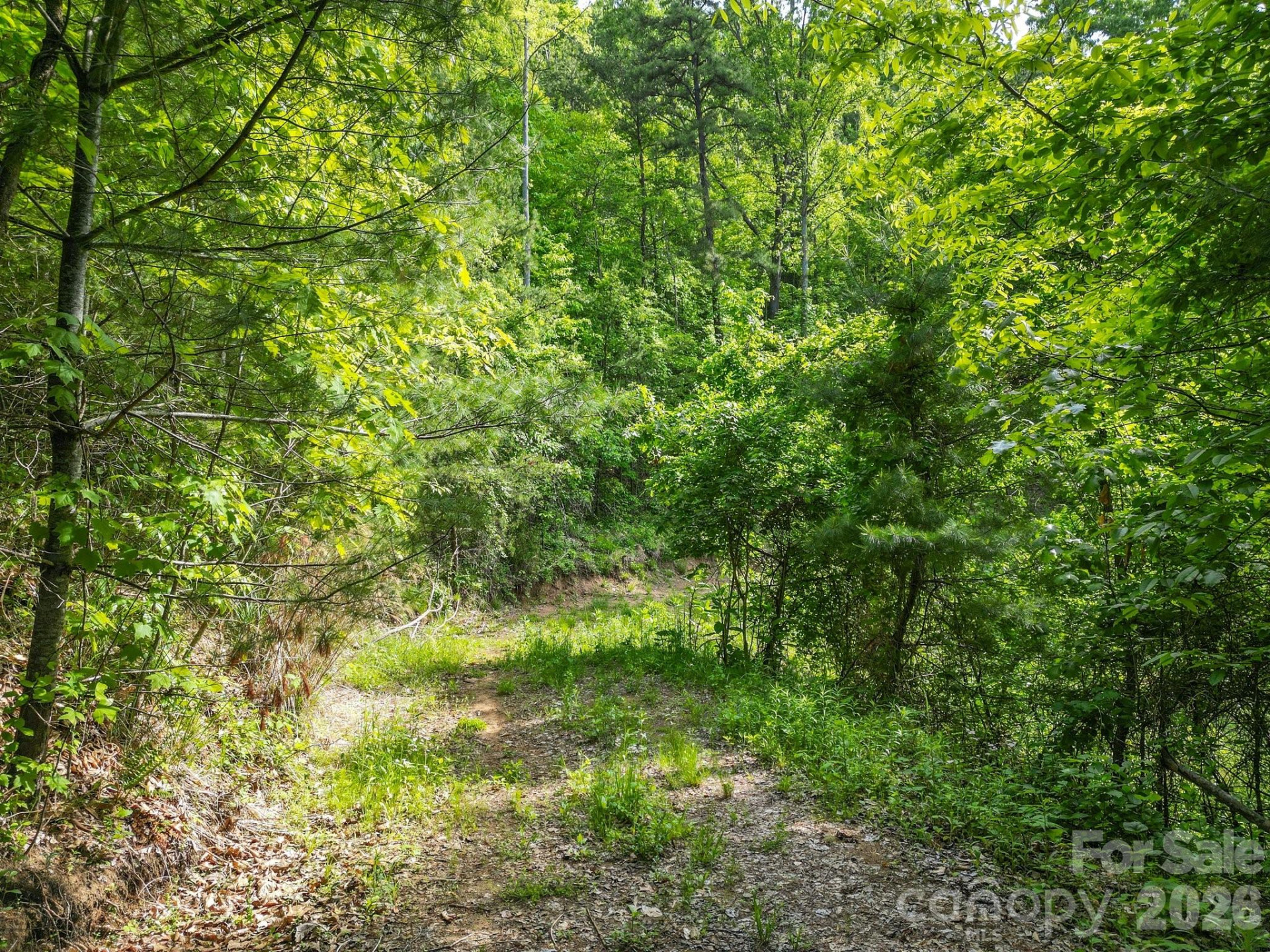 138 Whitfield Lane - Photo 11