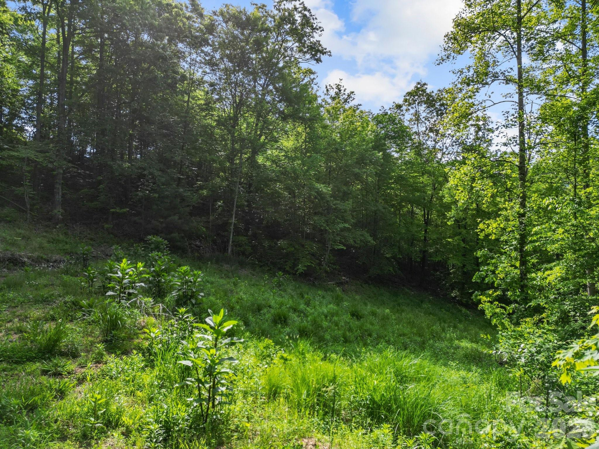 138 Whitfield Lane - Photo 12