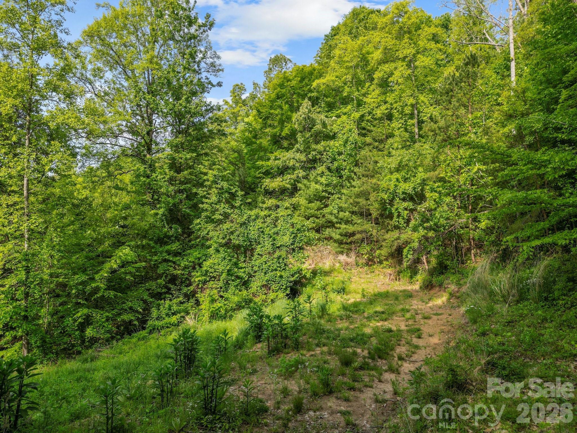 138 Whitfield Lane - Photo 14