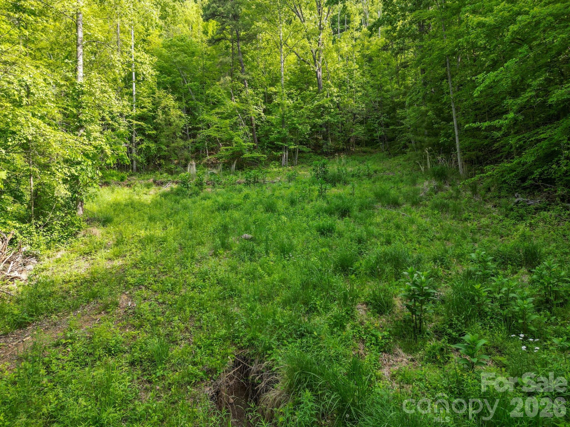 138 Whitfield Lane - Photo 15