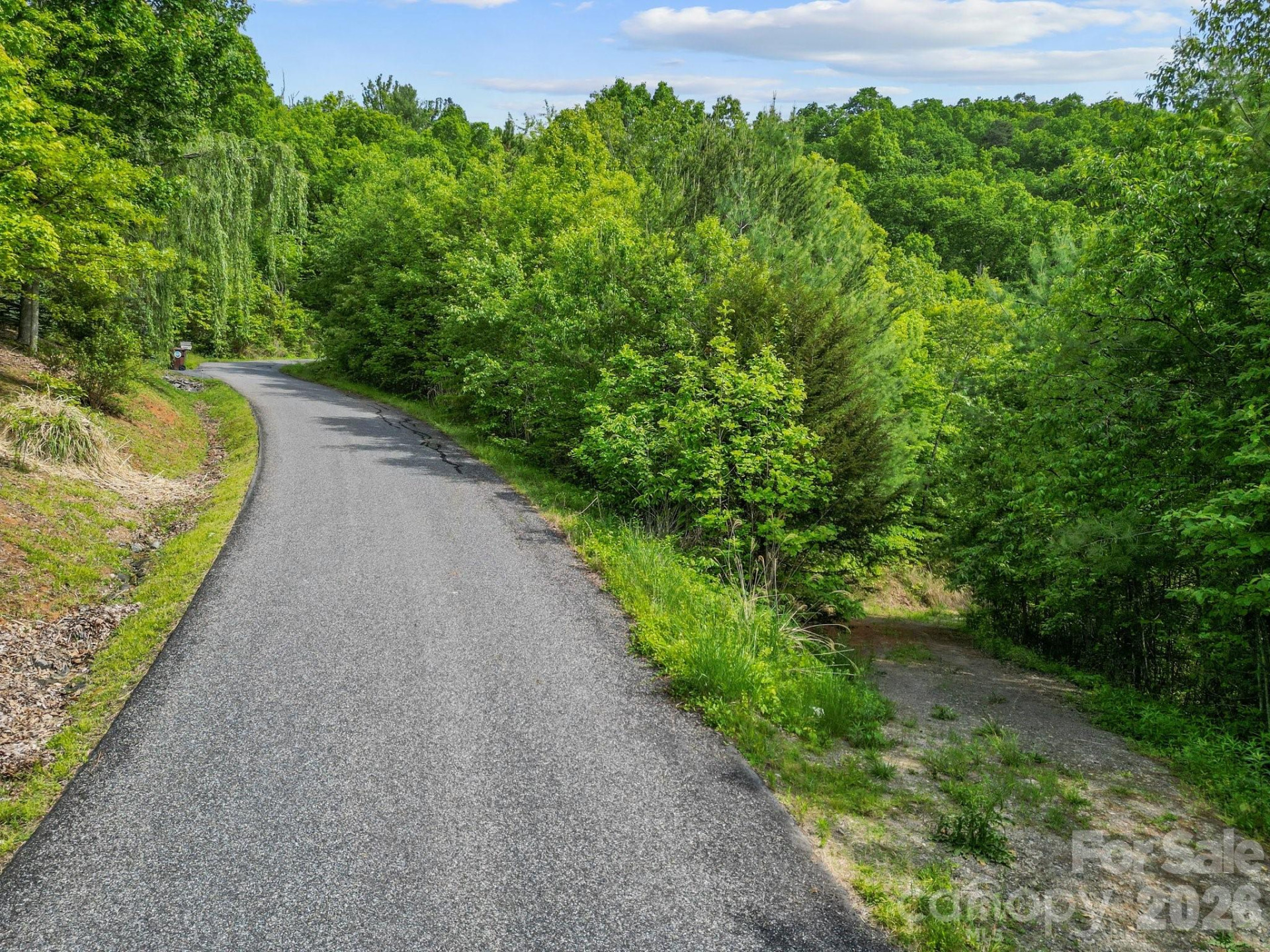 138 Whitfield Lane - Photo 8