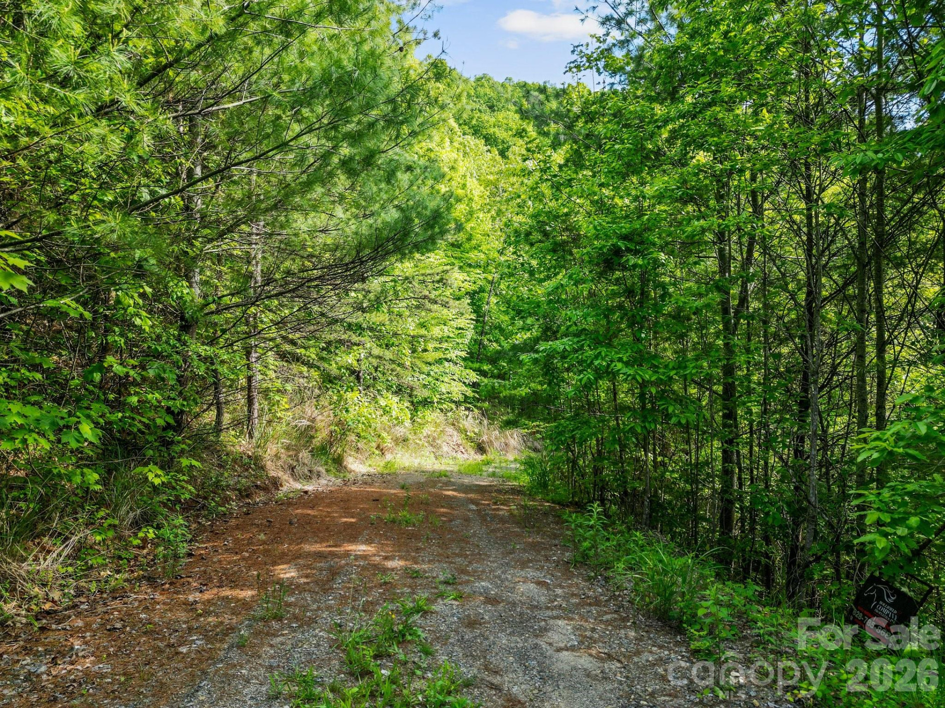 138 Whitfield Lane - Photo 10