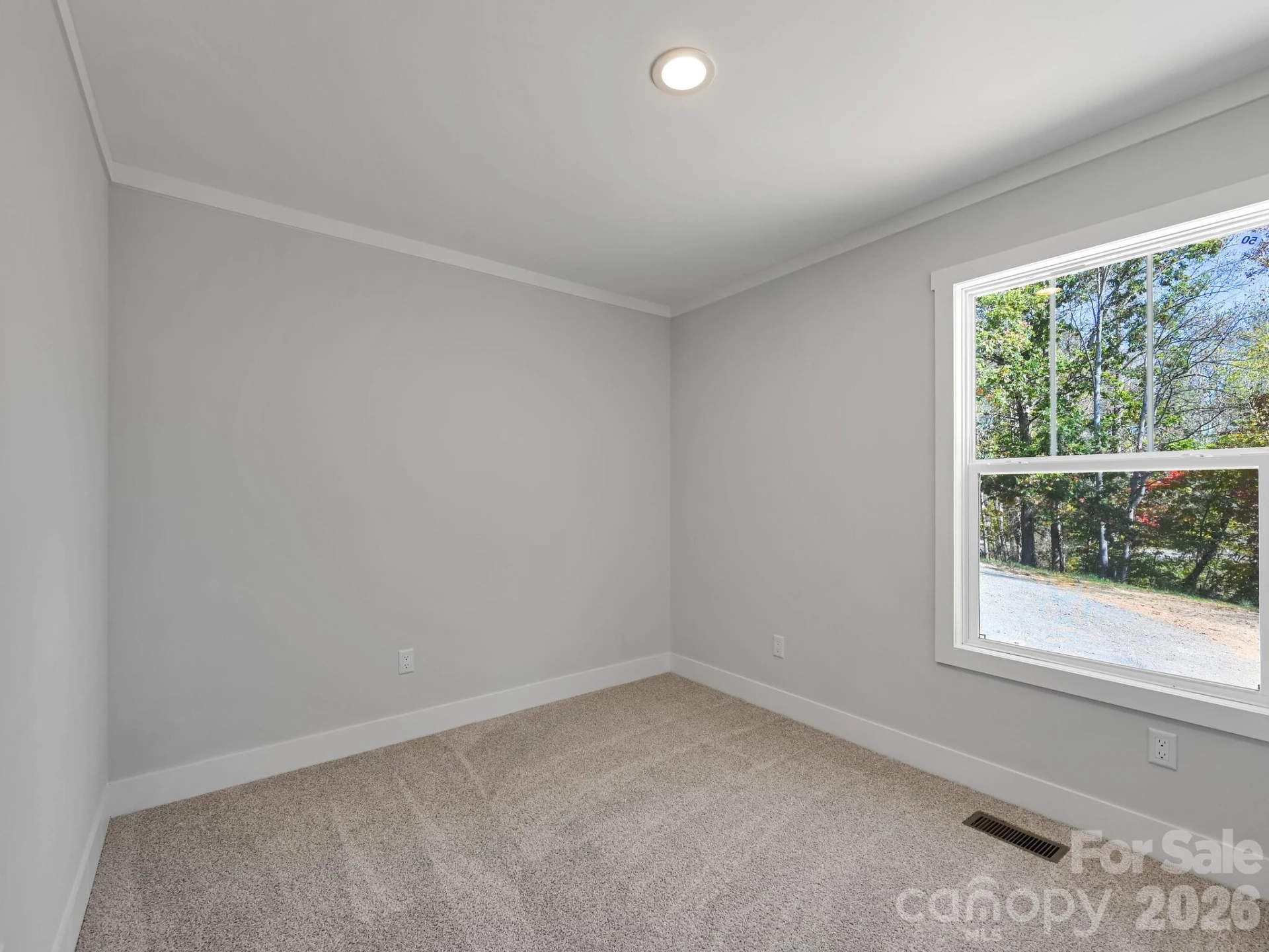 1603 Bull Creek Road - Photo 21