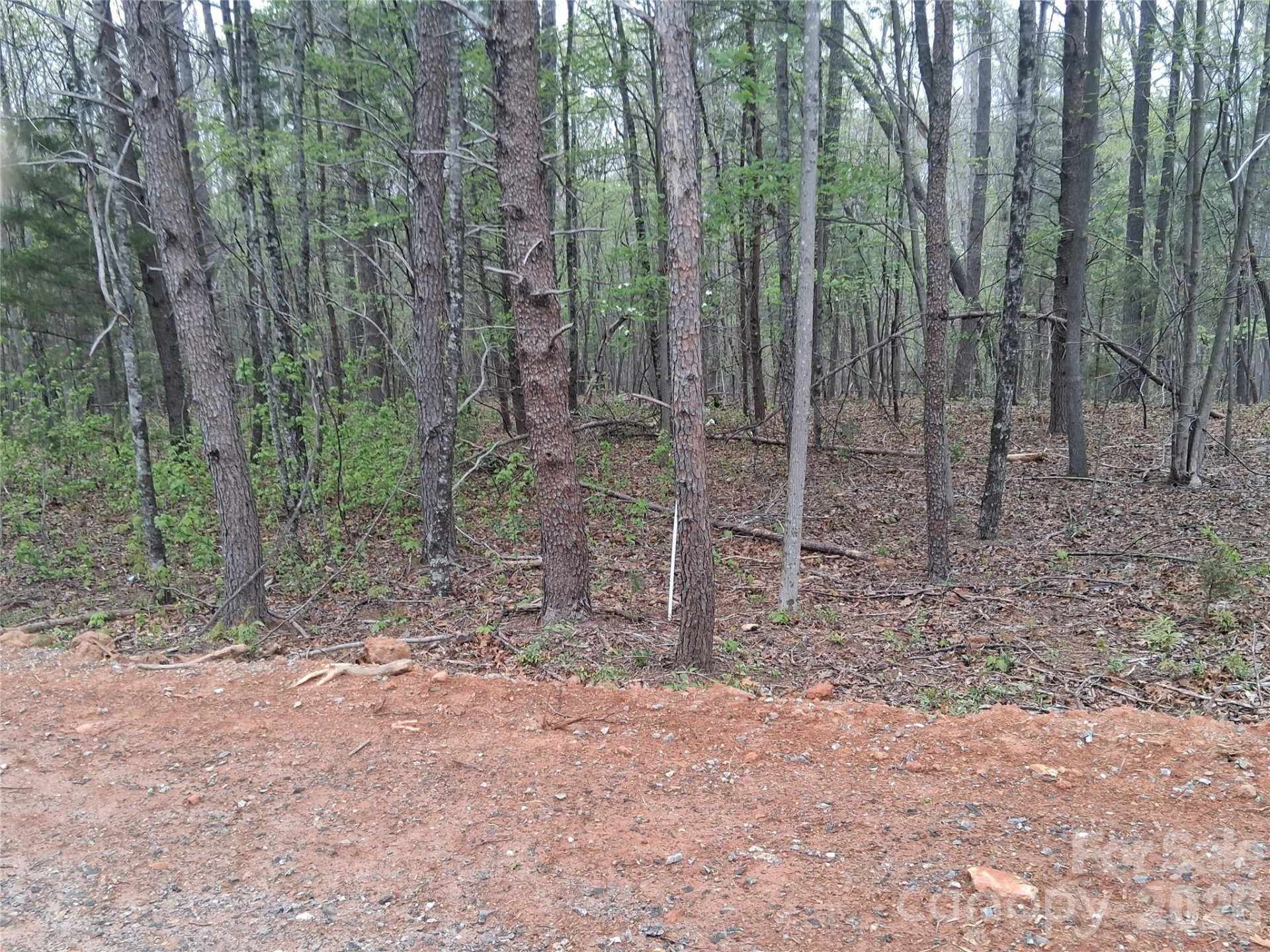 2312 Magnolia Place #10 - Photo 28