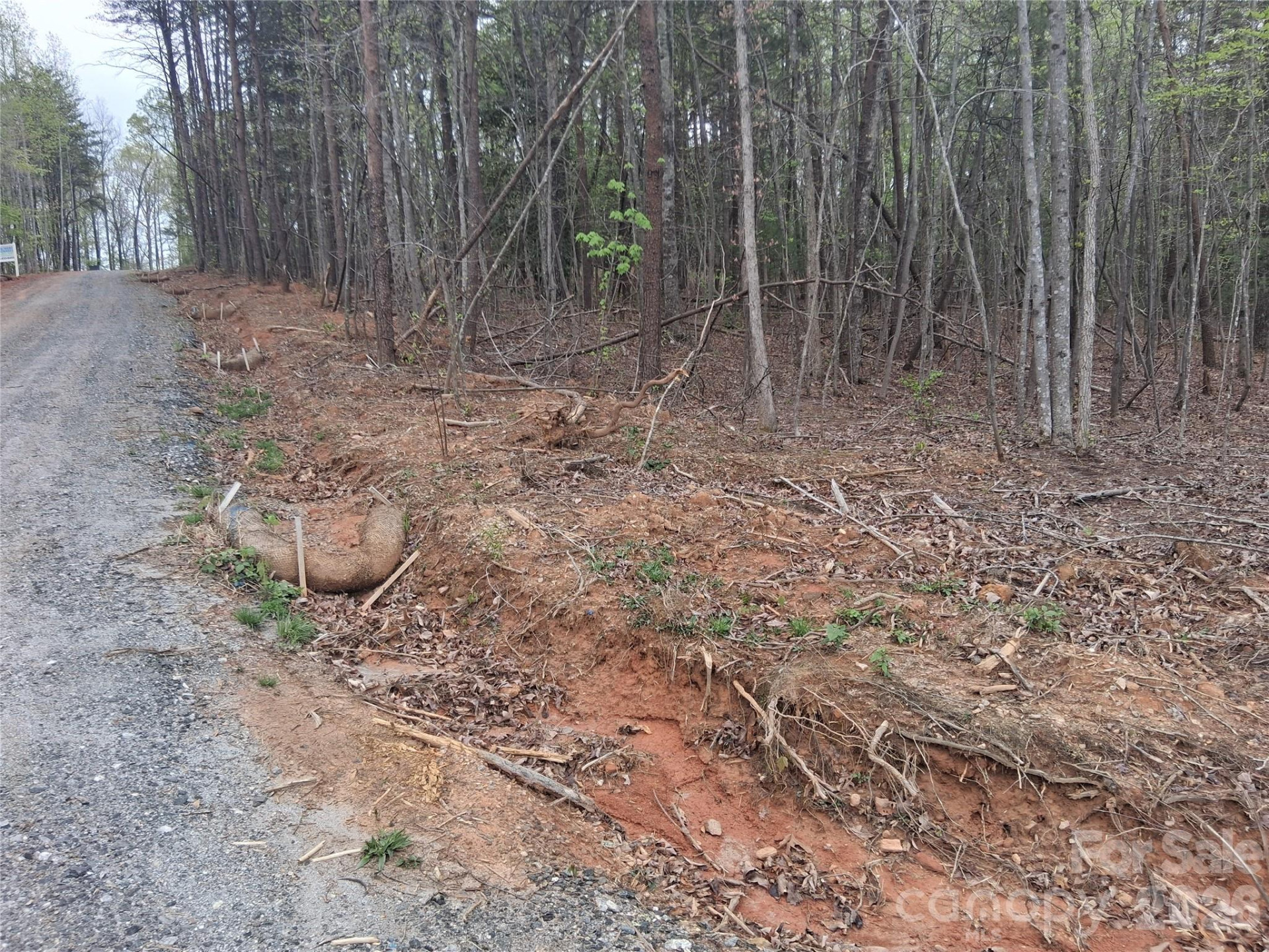 2312 Magnolia Place #10 - Photo 38