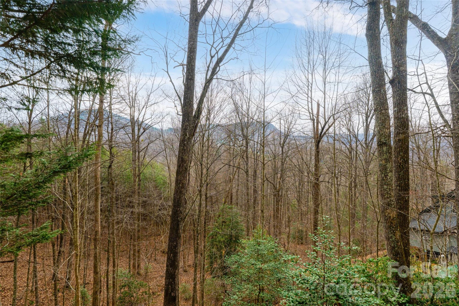 31 Timber Park Drive - Photo 47