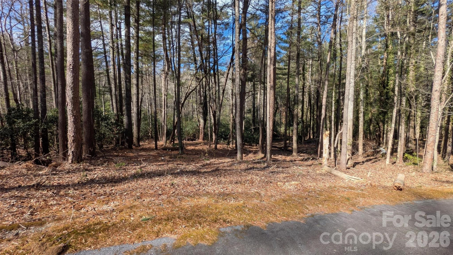 999 Roberts Lane #7 - Photo 3