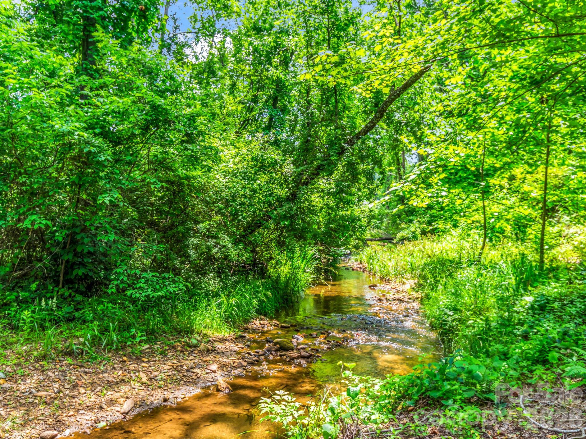 26 Balsam High Road - Photo 38