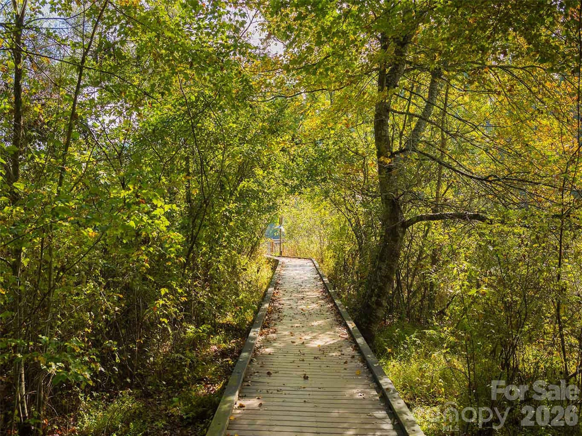 26 Balsam High Road - Photo 45