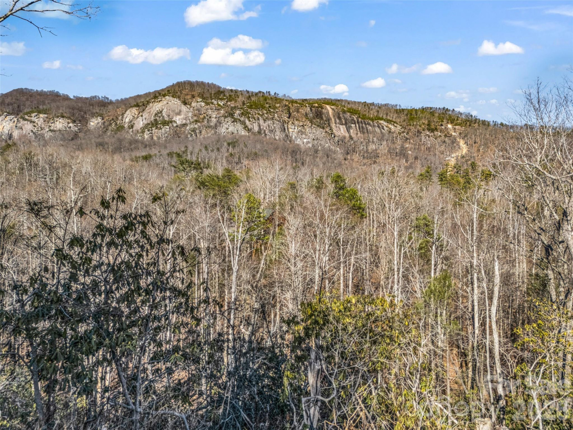 00 Mintwood Court - Photo 29