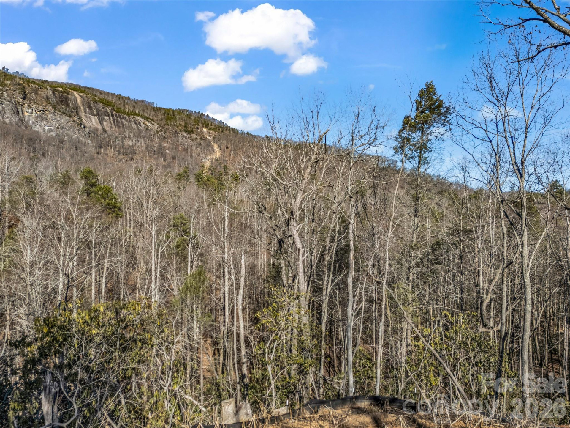 00 Mintwood Court - Photo 30