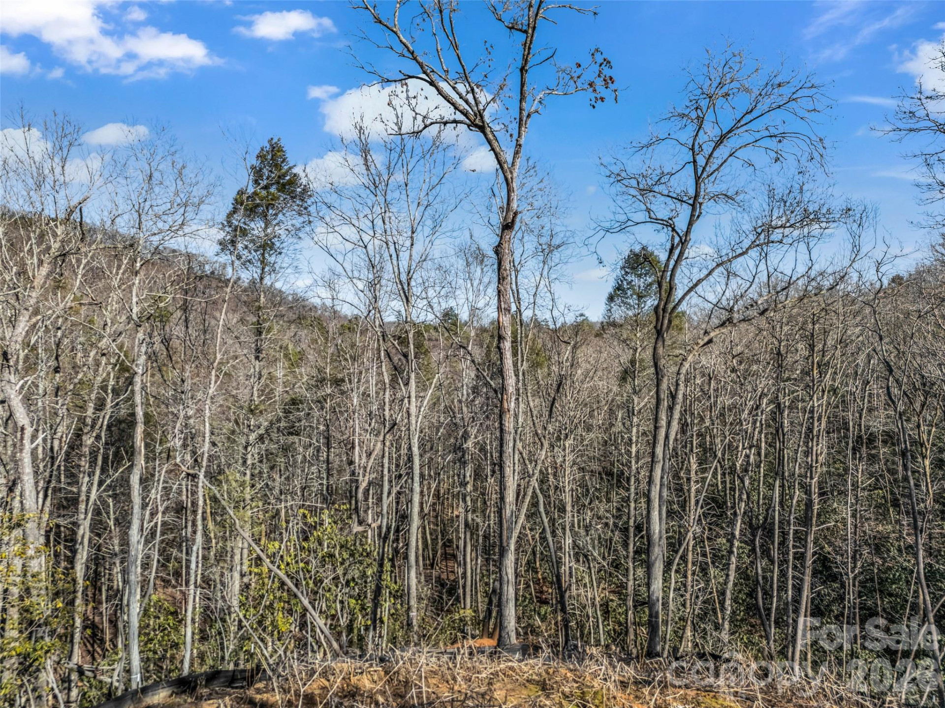 00 Mintwood Court - Photo 31