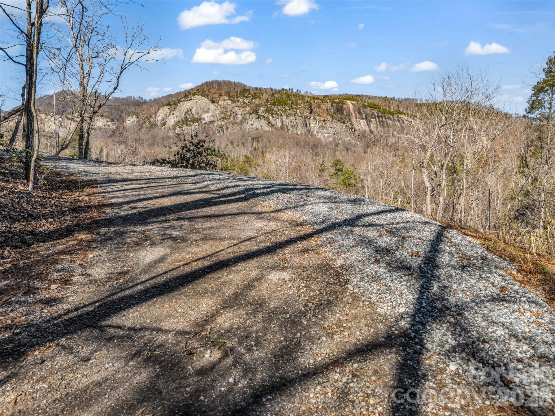 00 Mintwood Court - Photo 33