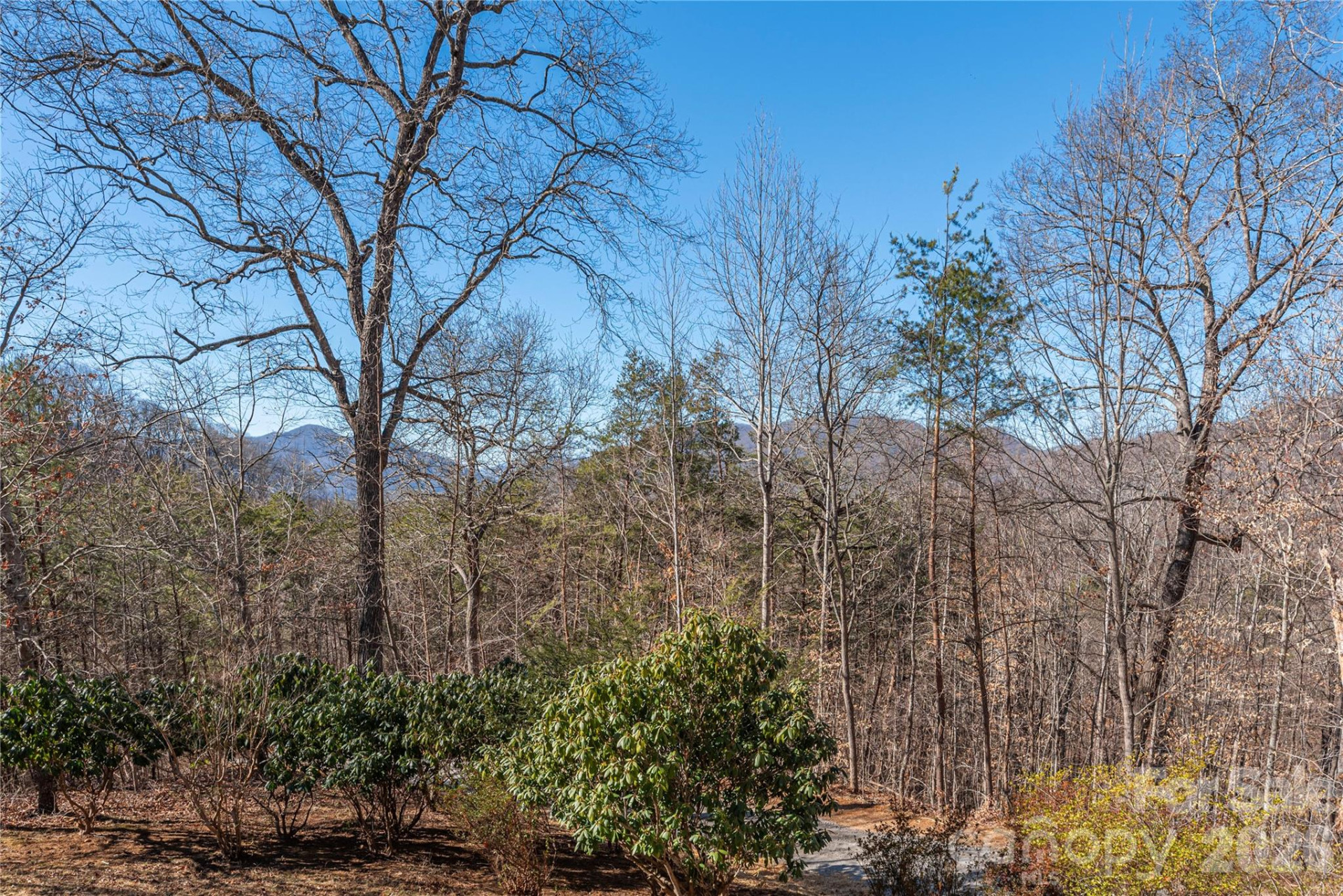 706 Ramble Lane - Photo 28