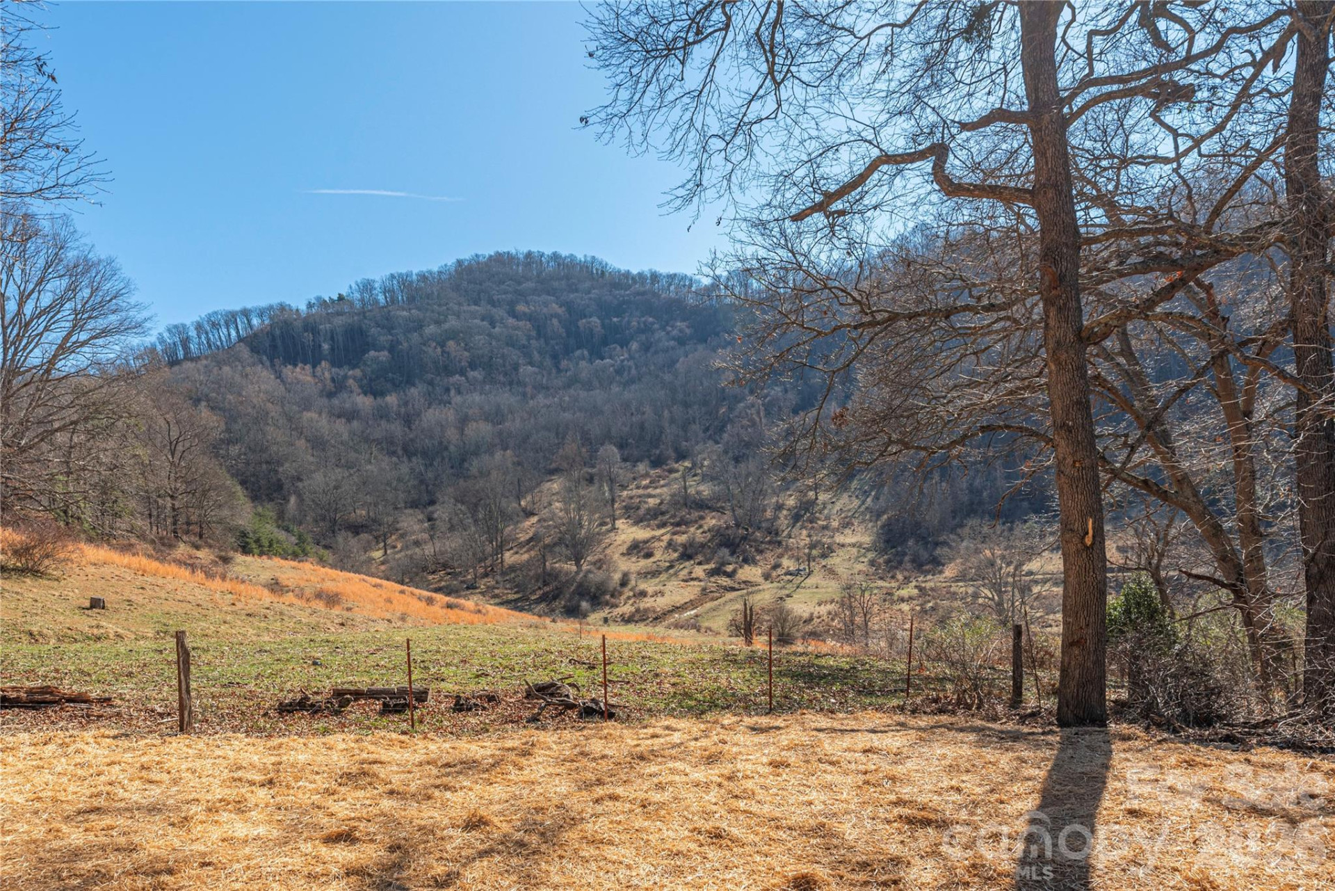 706 Ramble Lane - Photo 5