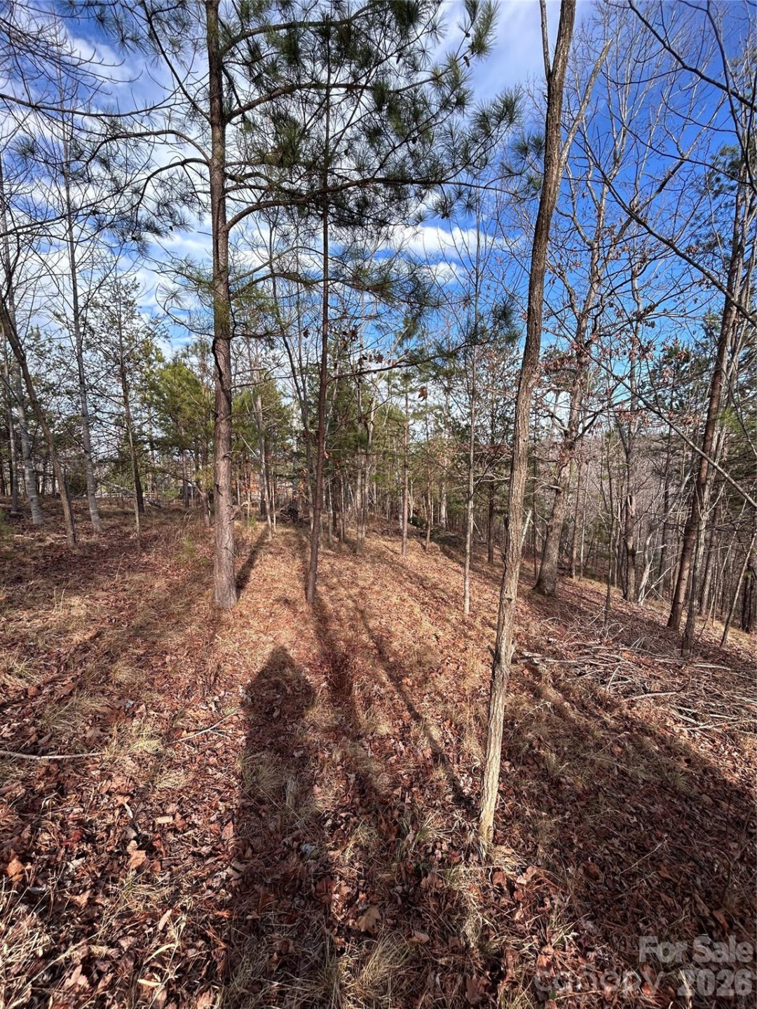 254 Stoney Creek Drive #224