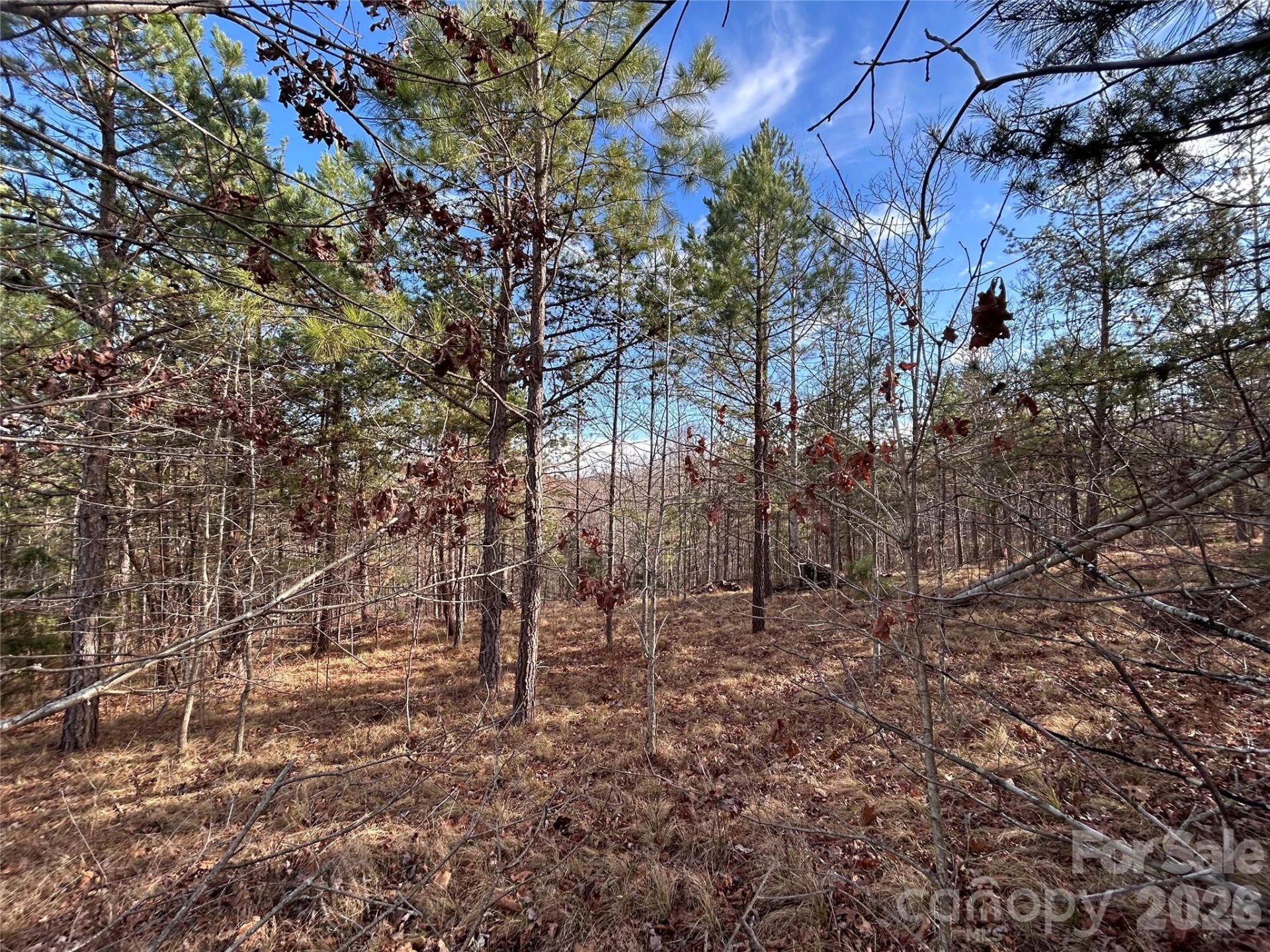 254 Stoney Creek Drive #224 - Photo 4