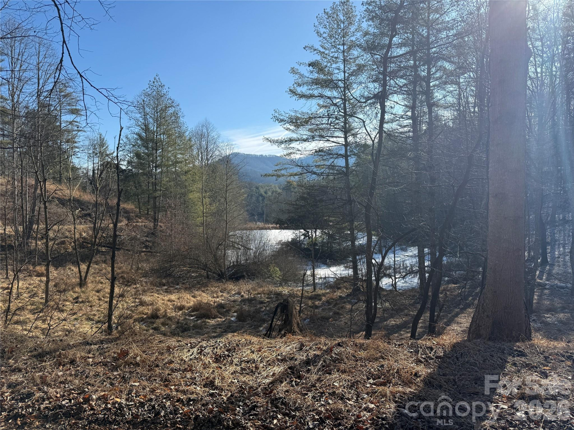 999 Echo Hill Drive #4 - Photo 4