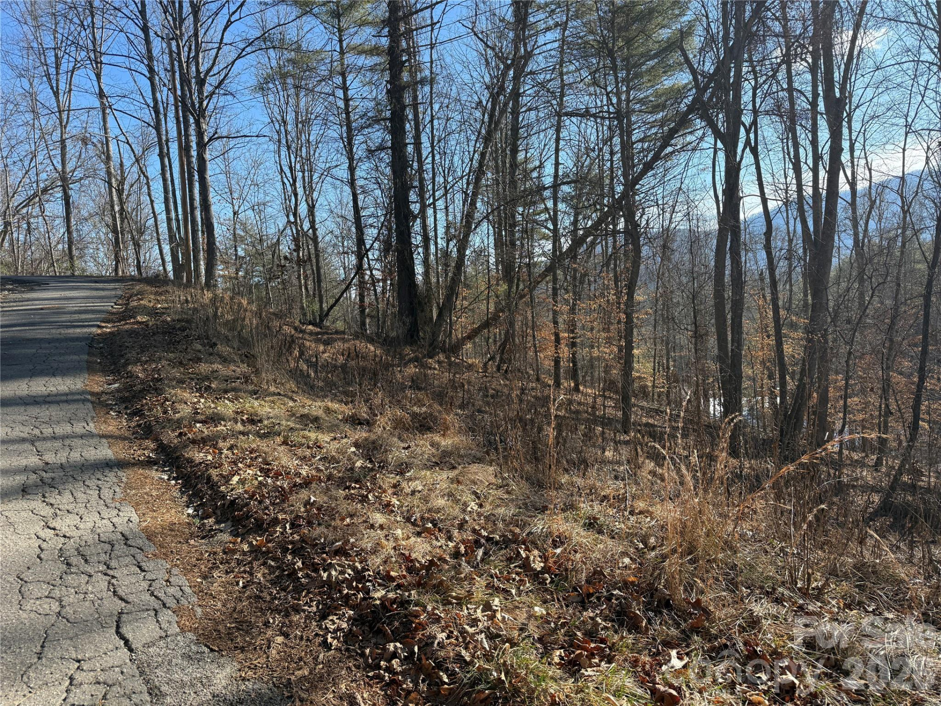 999 Echo Hill Drive #4 - Photo 5