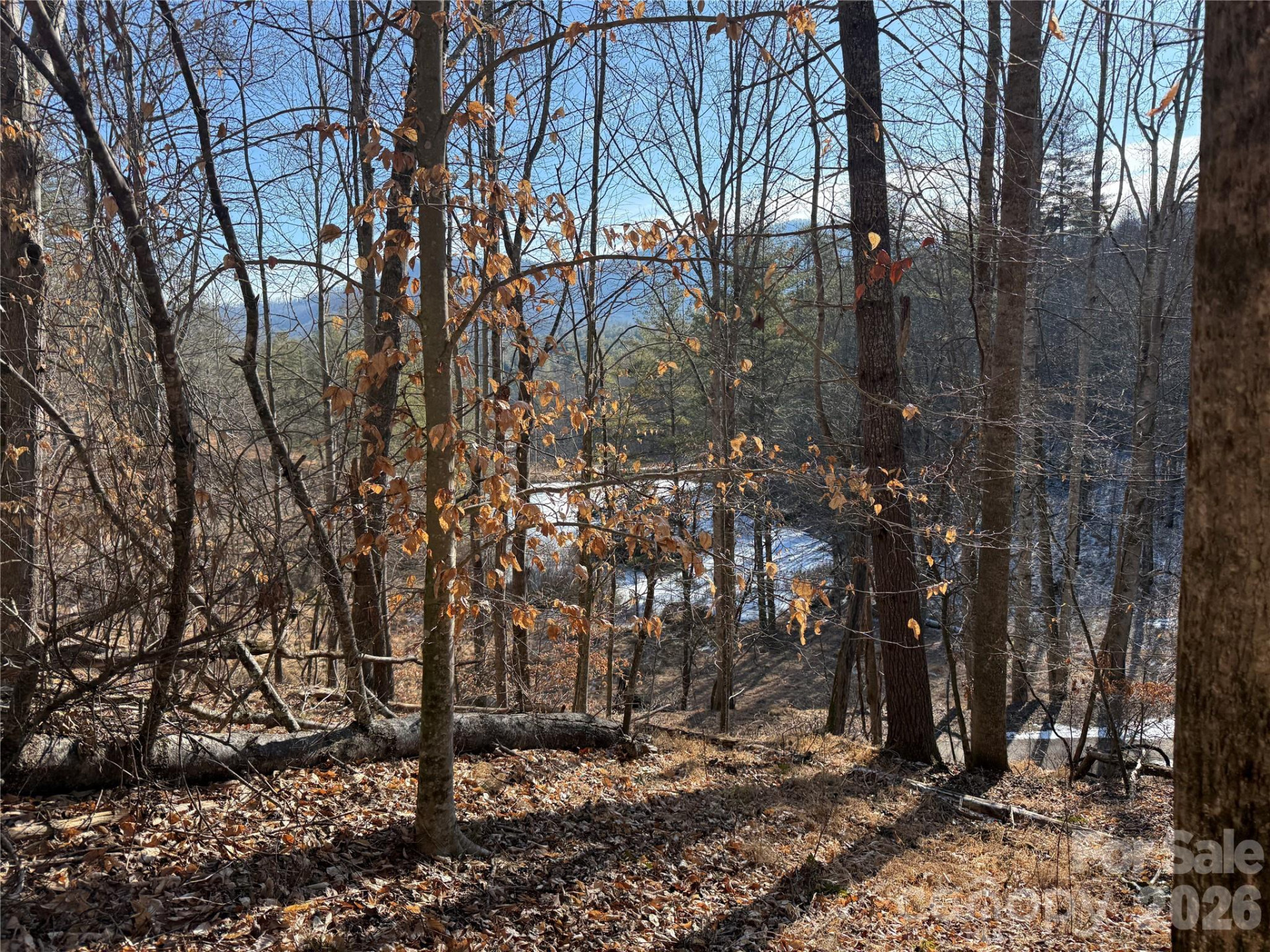 999 Echo Hill Drive #4 - Photo 7