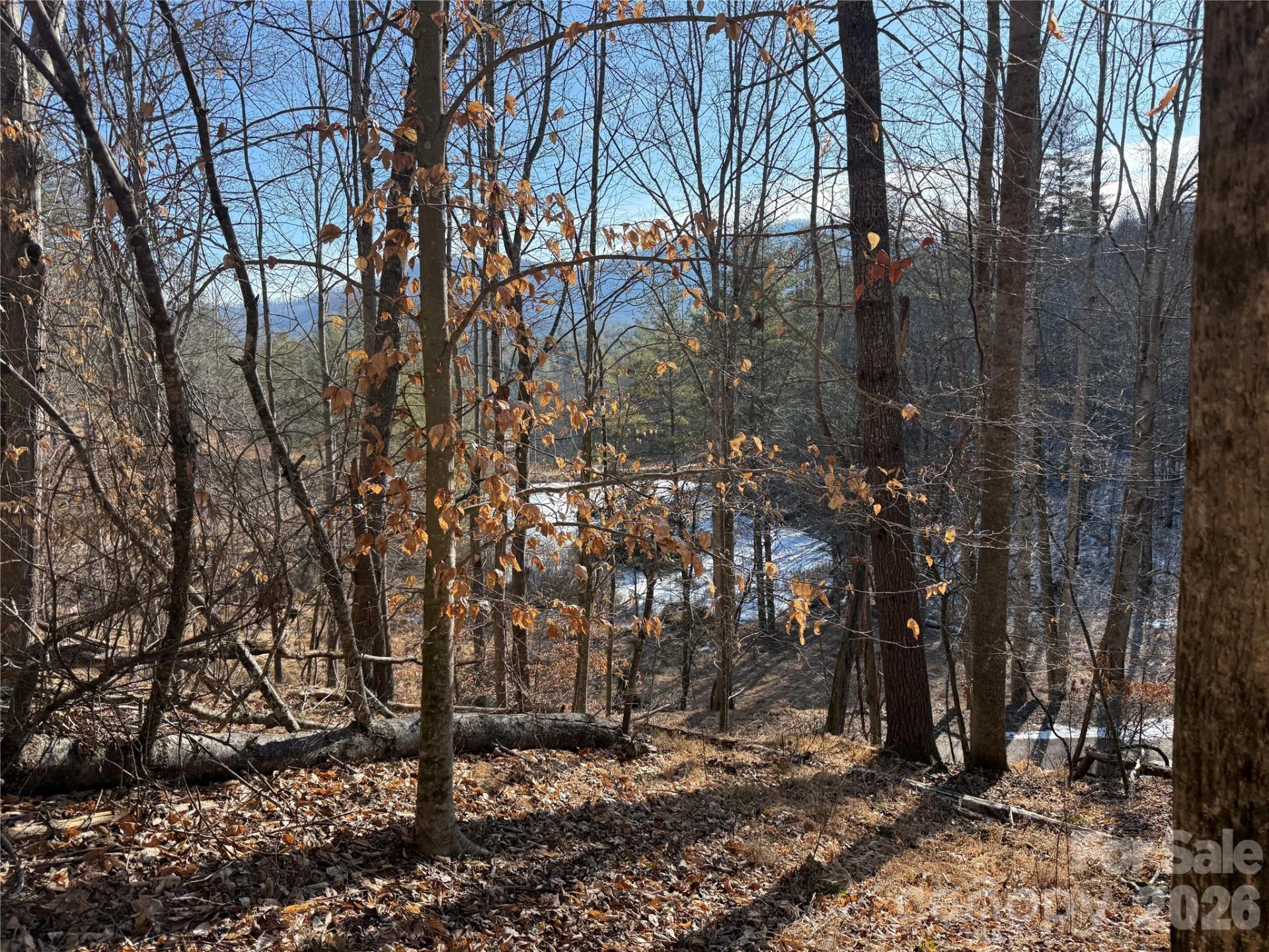 999 Echo Hill Drive #4 - Photo 7