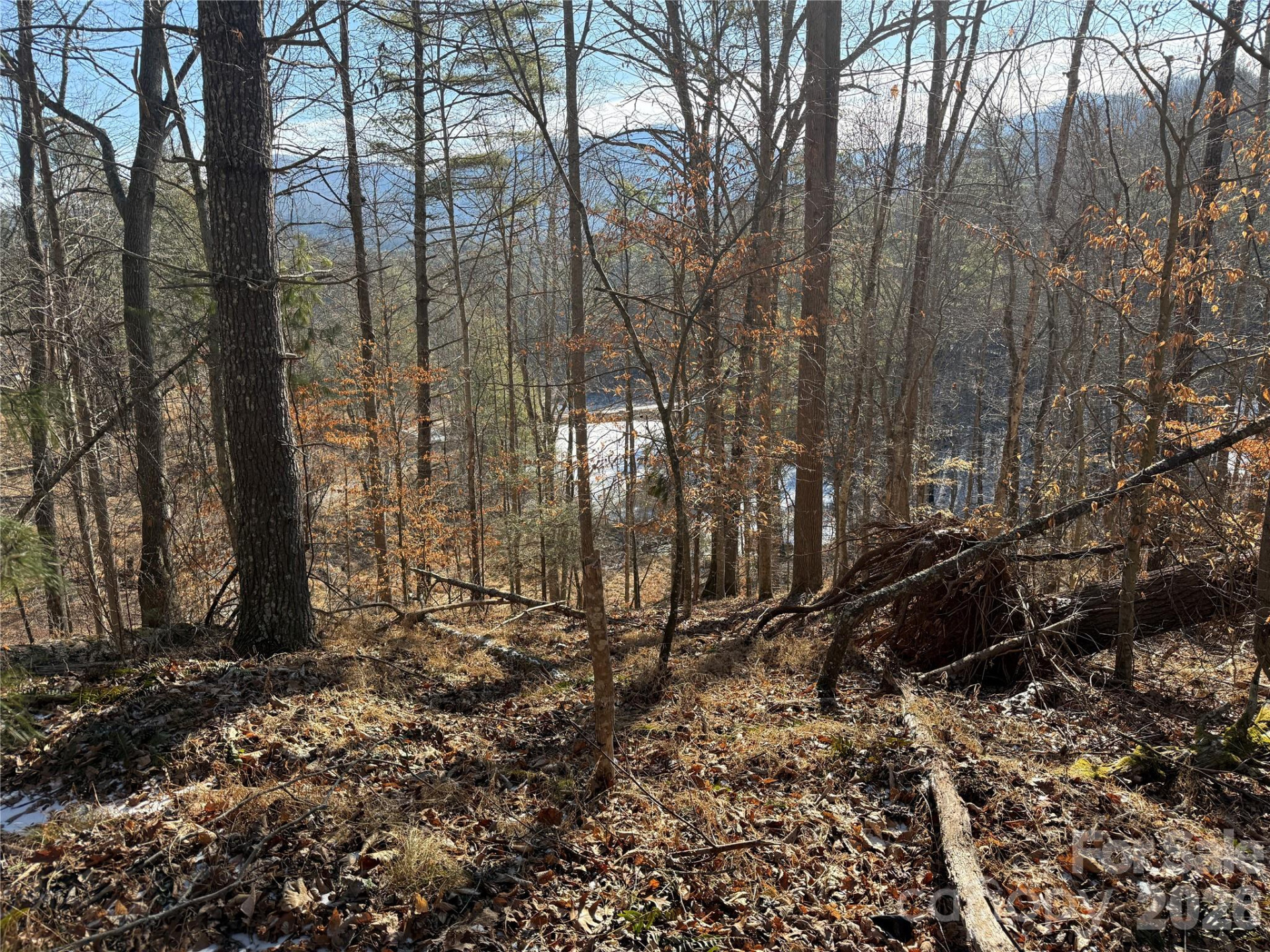 999 Echo Hill Drive #4 - Photo 8