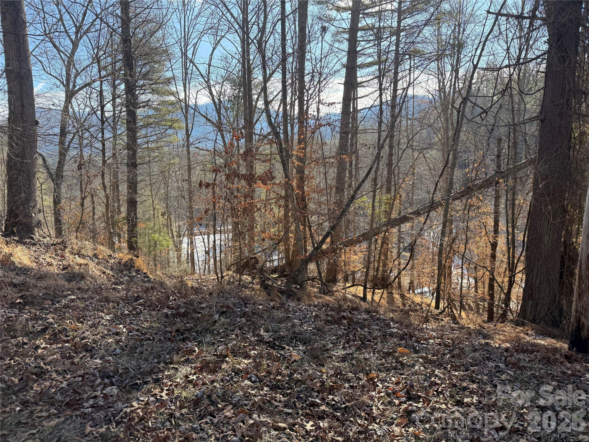 999 Echo Hill Drive #4 - Photo 9