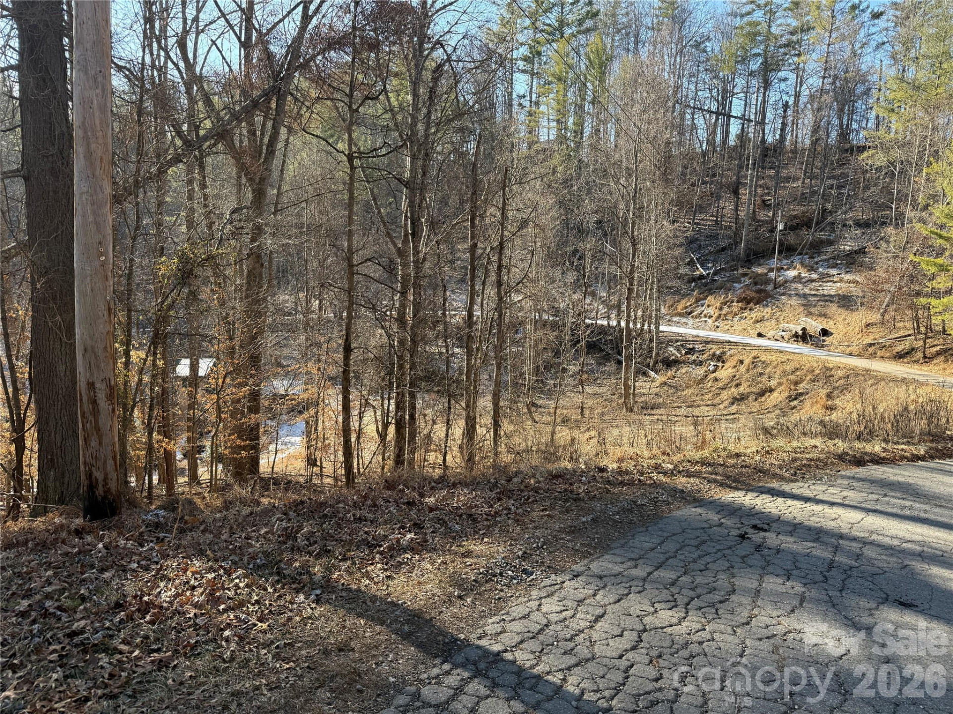 999 Echo Hill Drive #4 - Photo 10