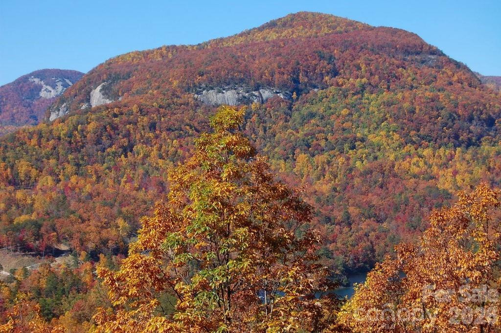 109 Overlook Point Lane - Photo 3