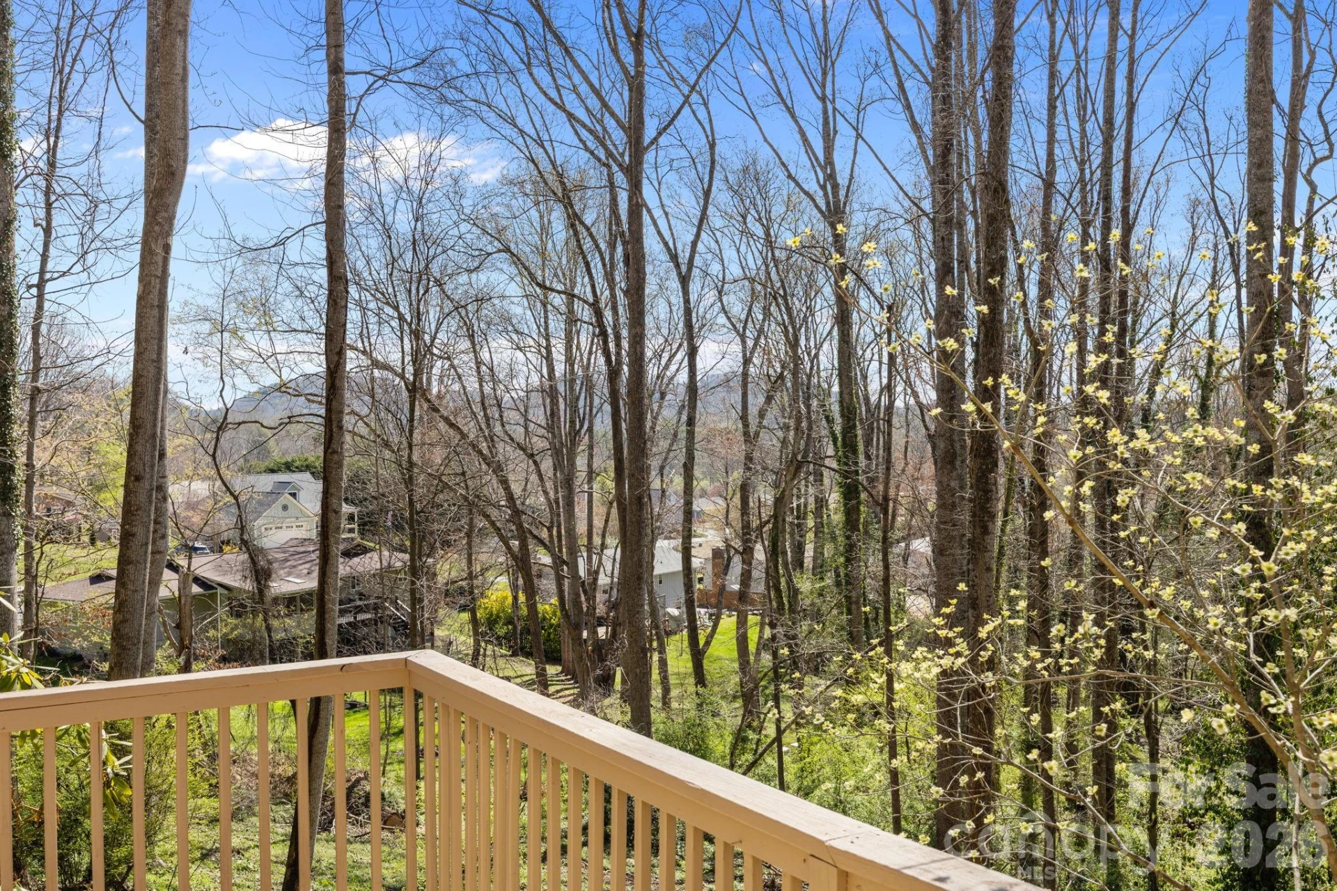 411 Overhill Drive - Photo 2