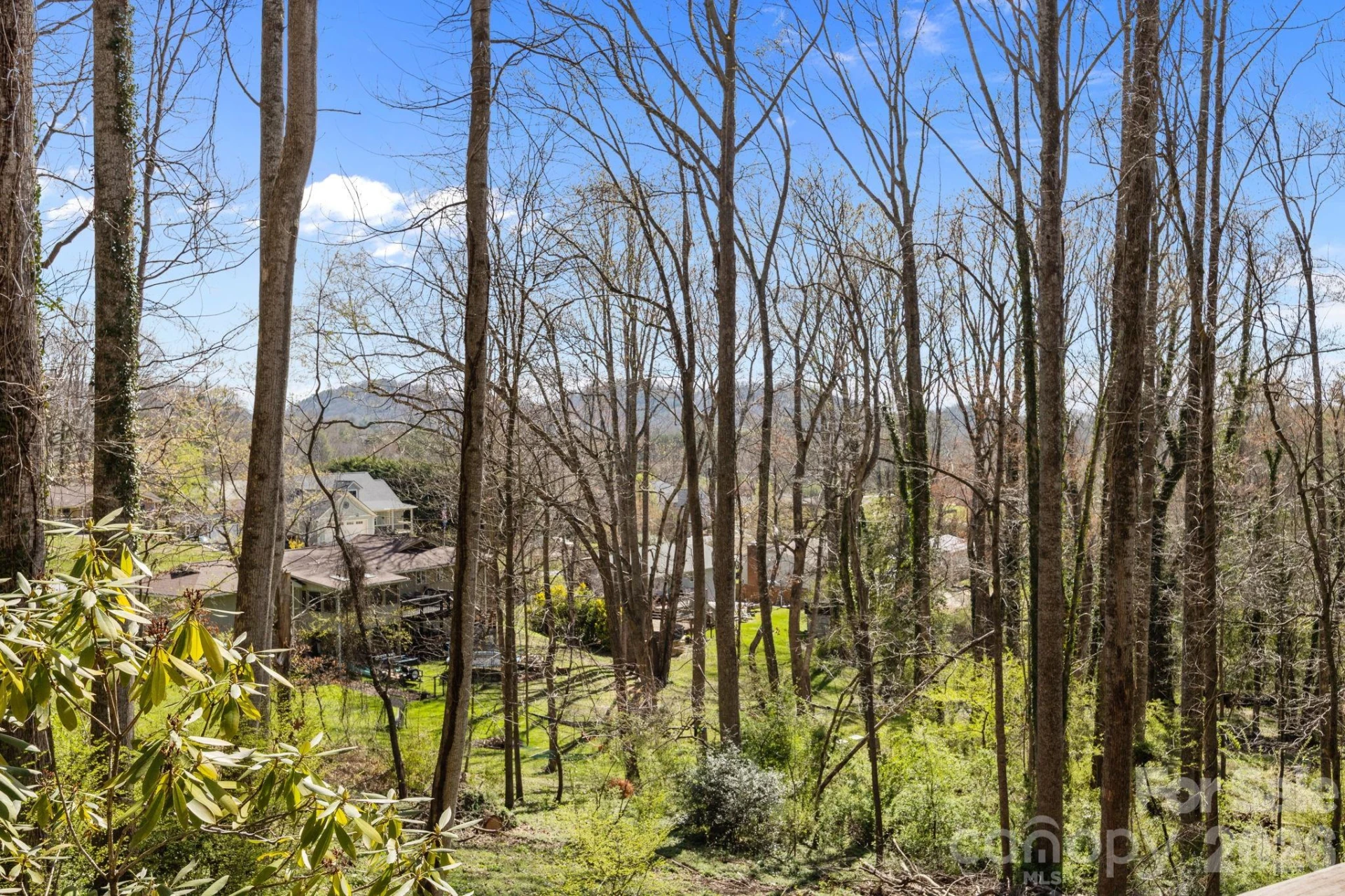 411 Overhill Drive - Photo 3