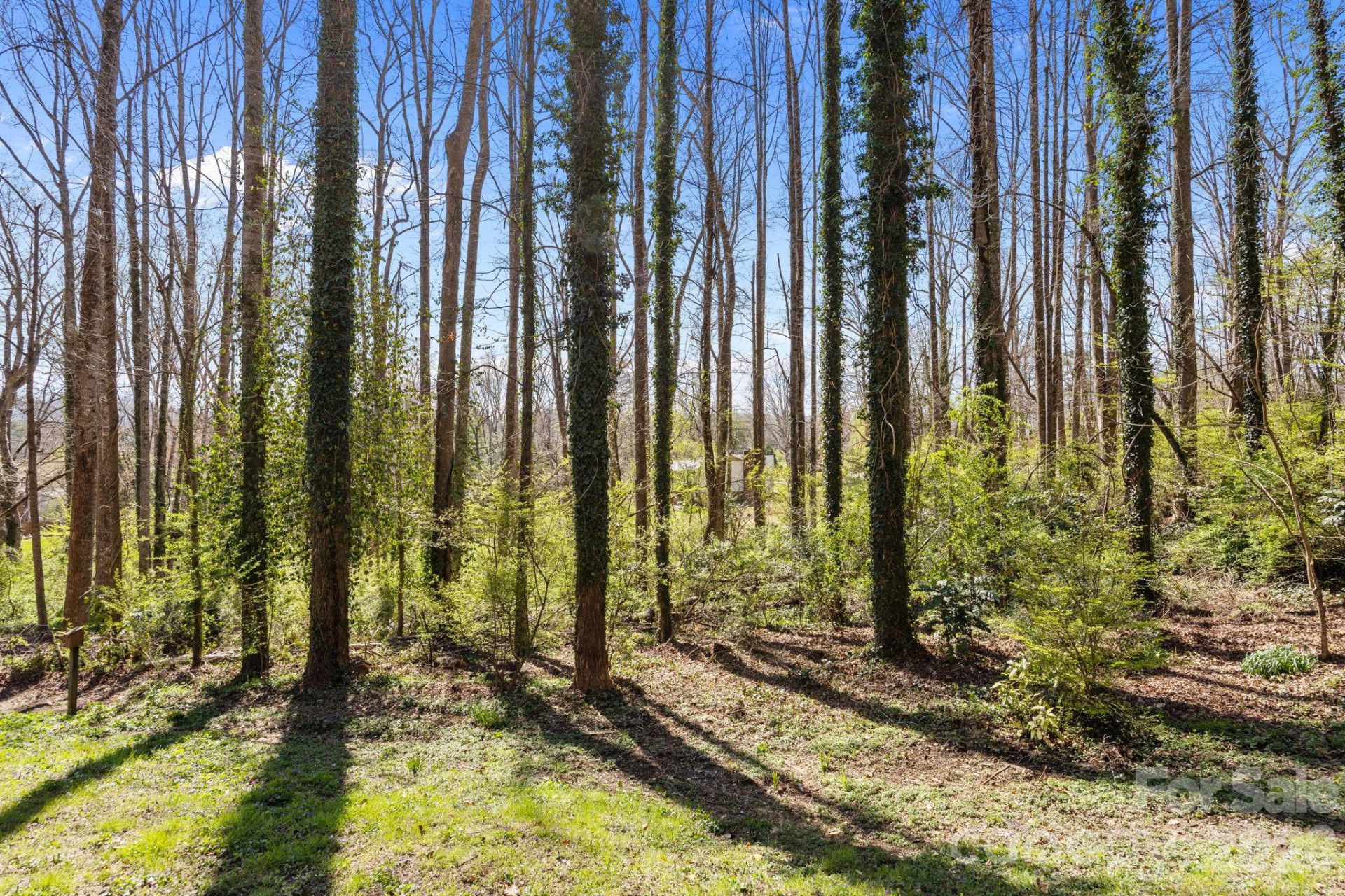 411 Overhill Drive - Photo 34