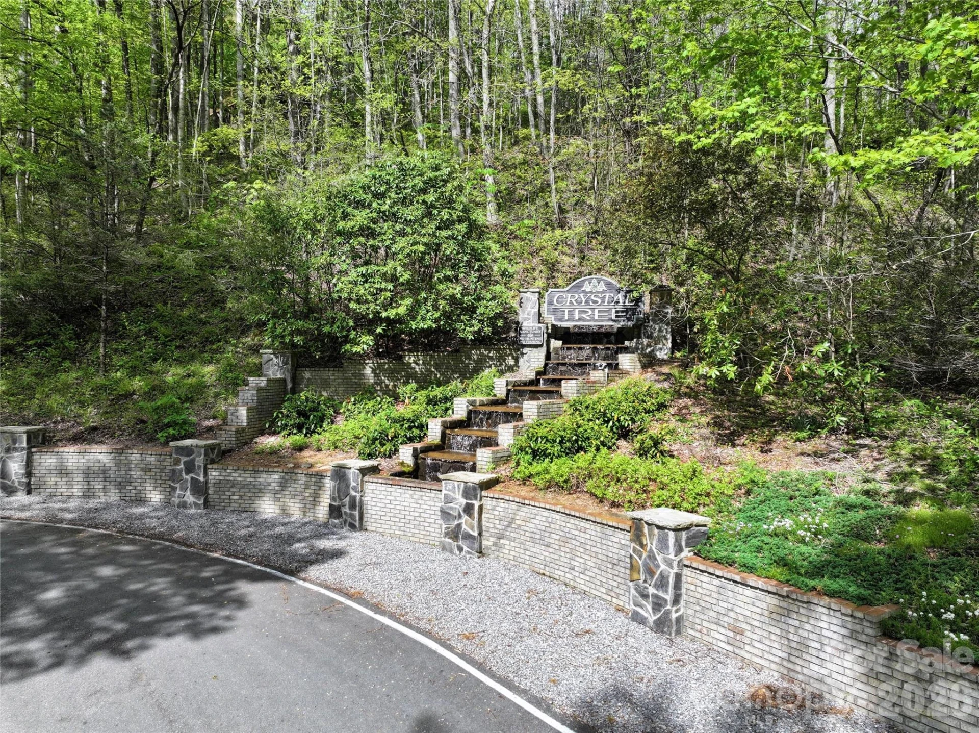 9999 Divit Road #45 - Photo 2