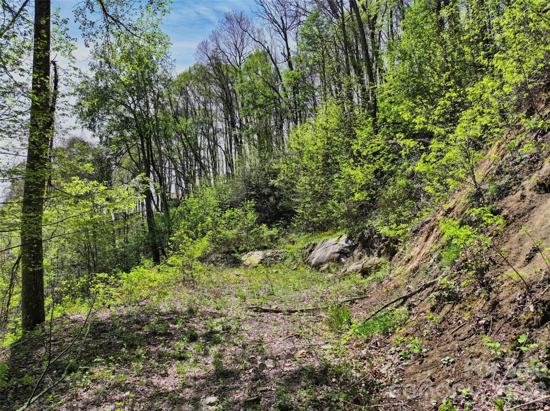 9999 Divit Road #45 - Photo 11