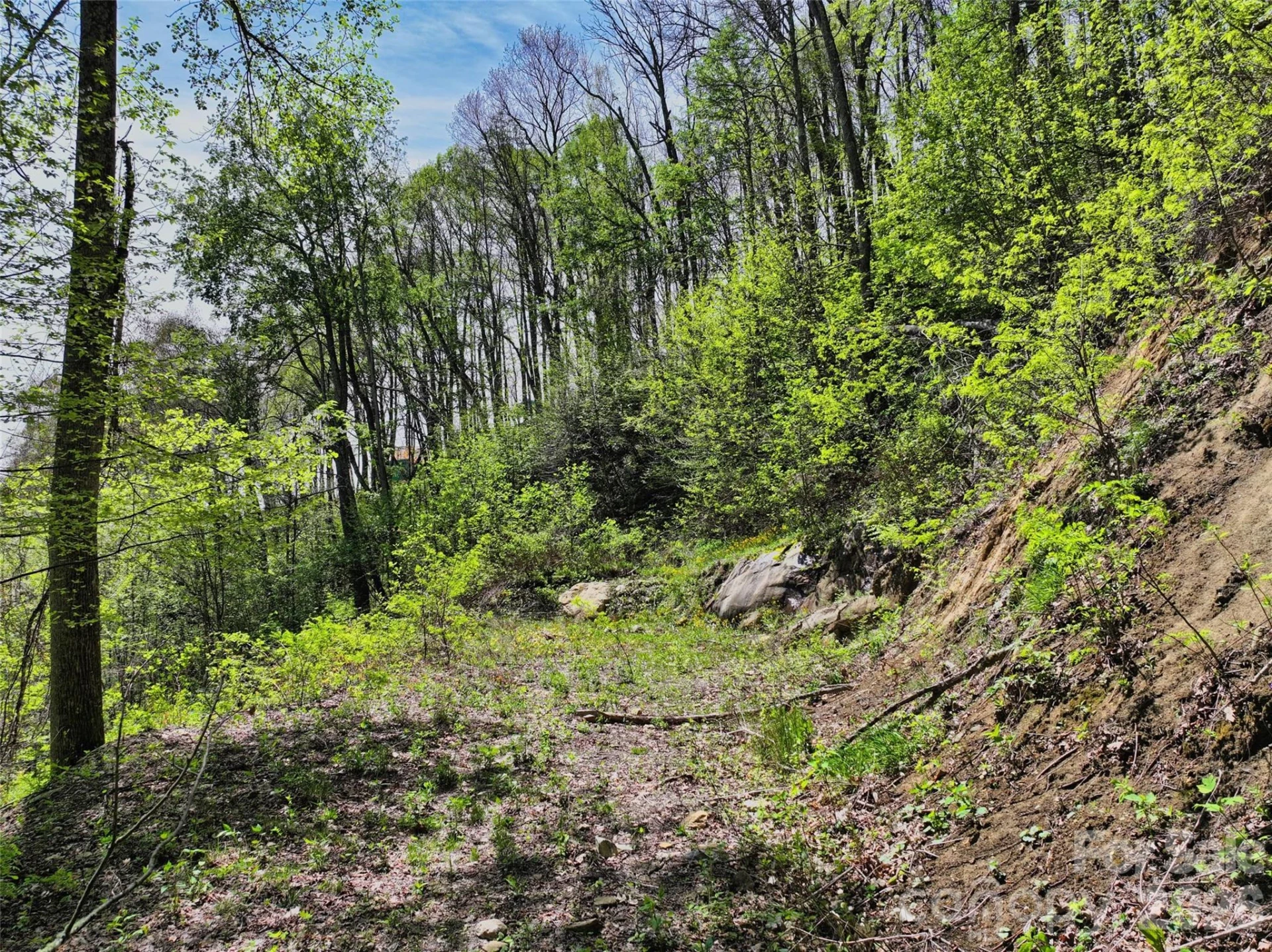 9999 Divit Road #45 - Photo 11