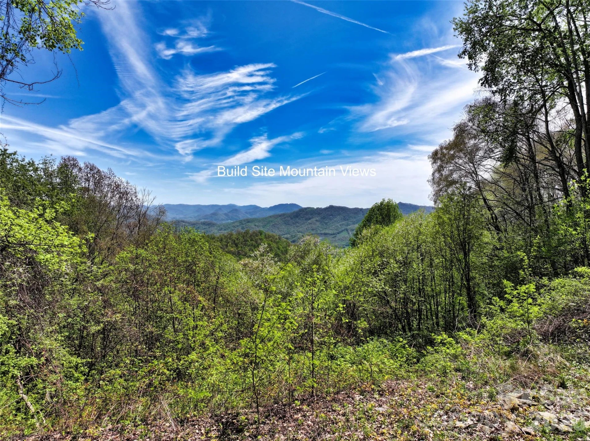 9999 Divit Road #45 - Photo 12
