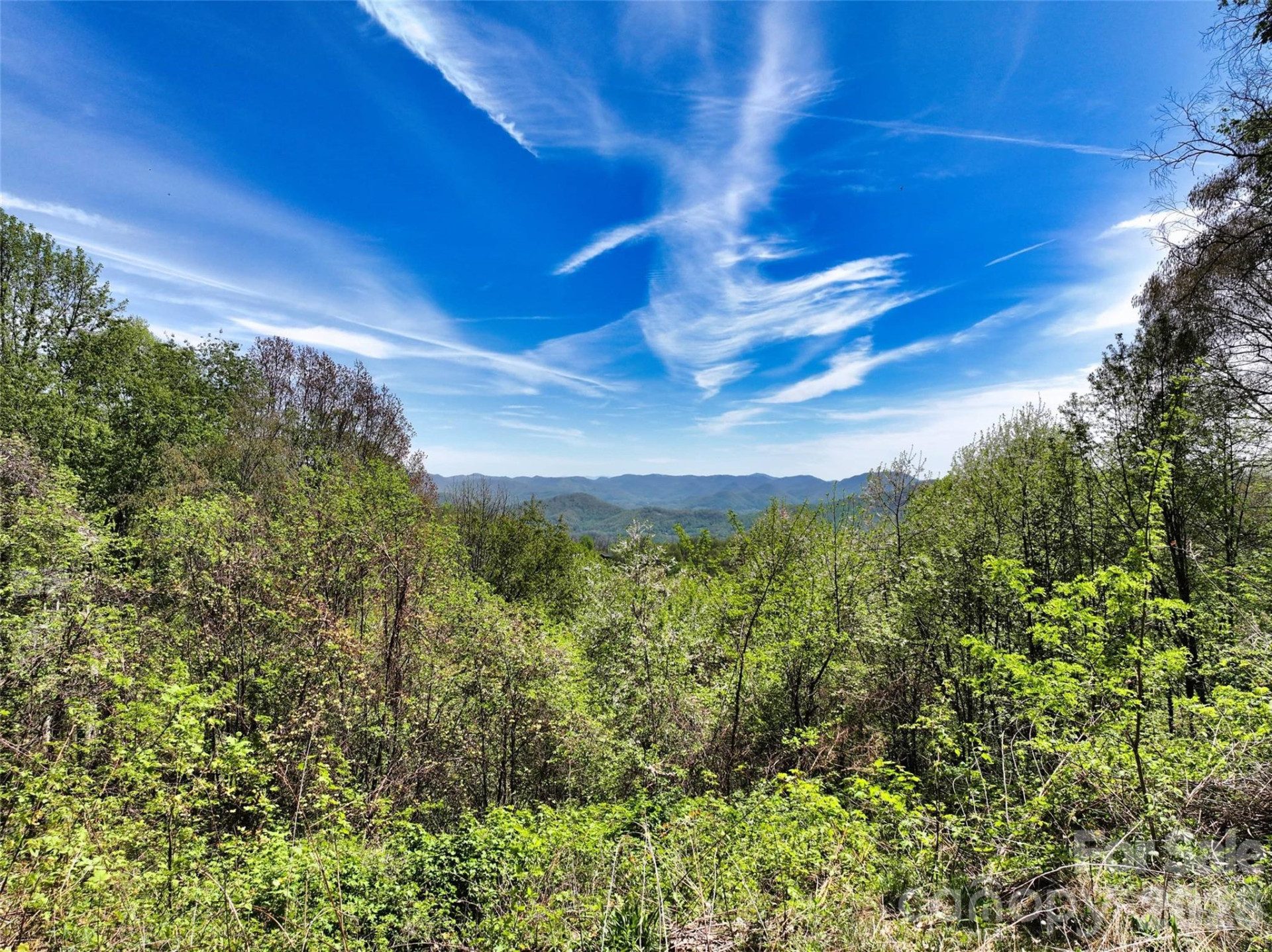 9999 Divit Road #45 - Photo 13