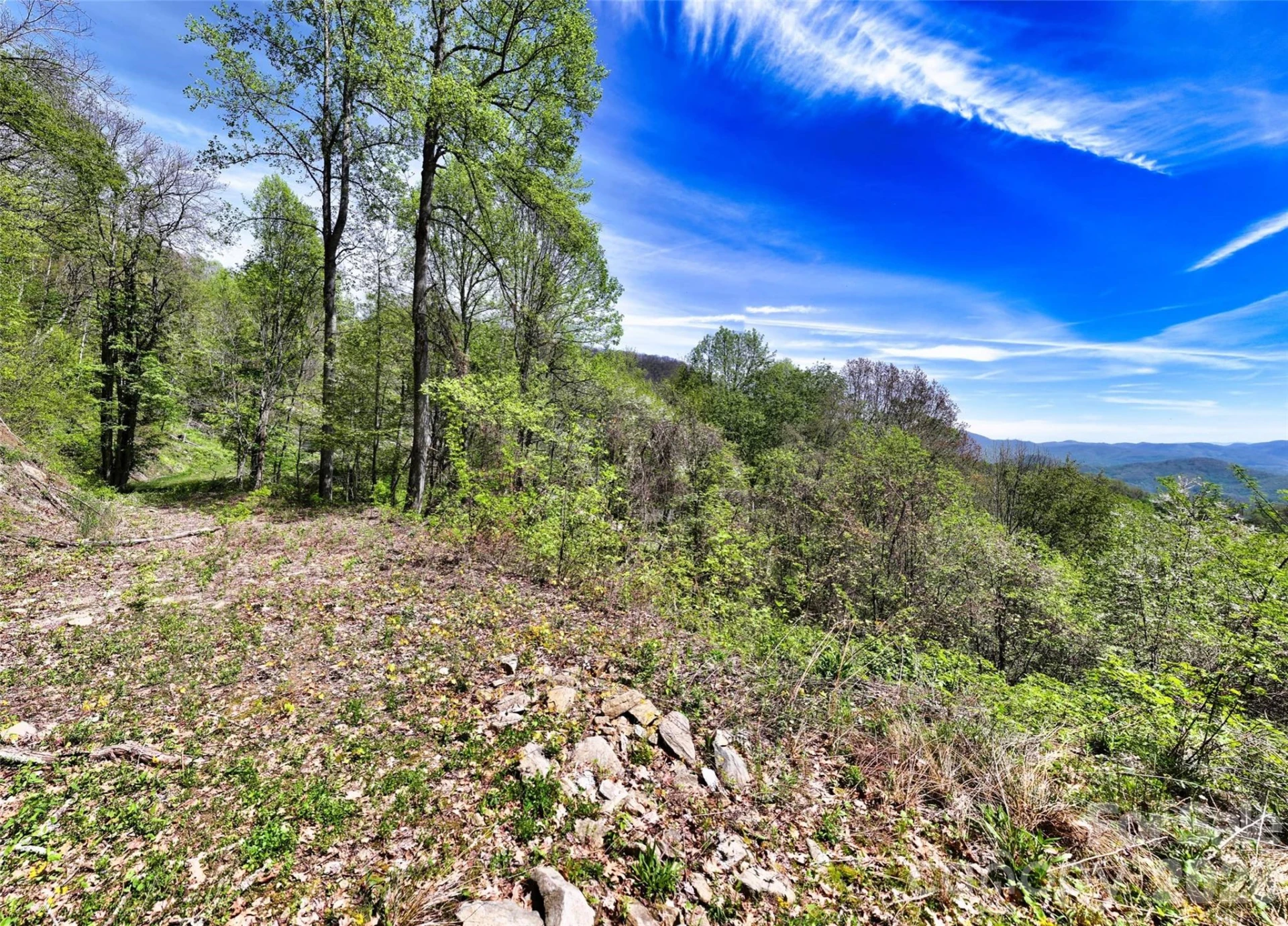9999 Divit Road #45 - Photo 14