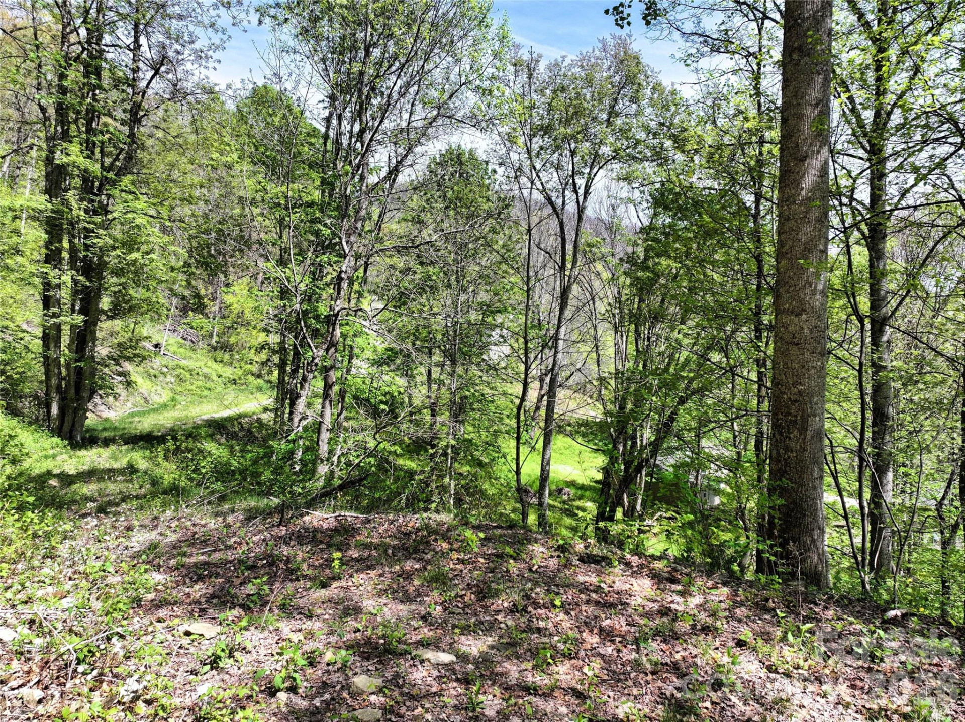 9999 Divit Road #45 - Photo 15