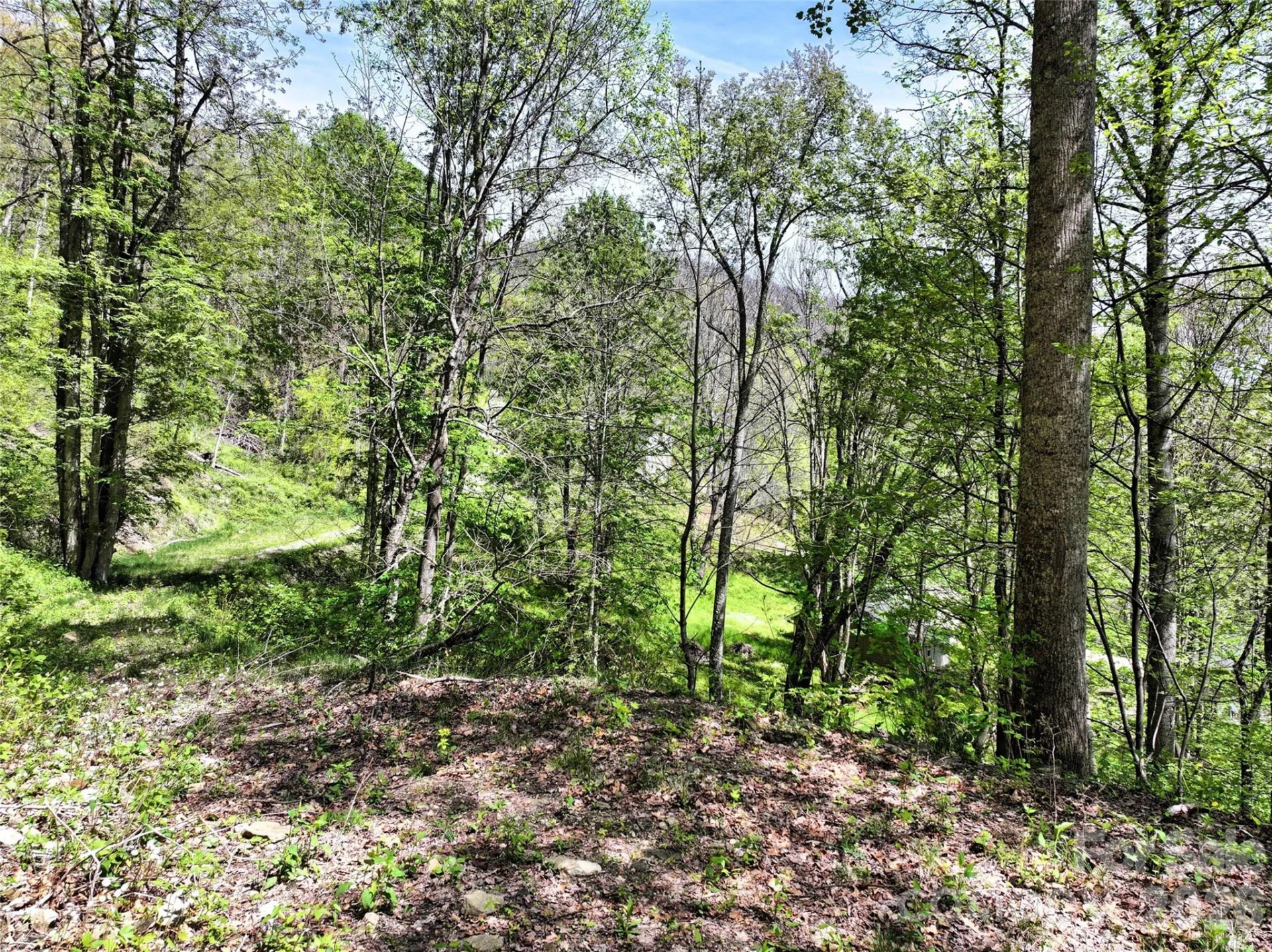 9999 Divit Road #45 - Photo 15