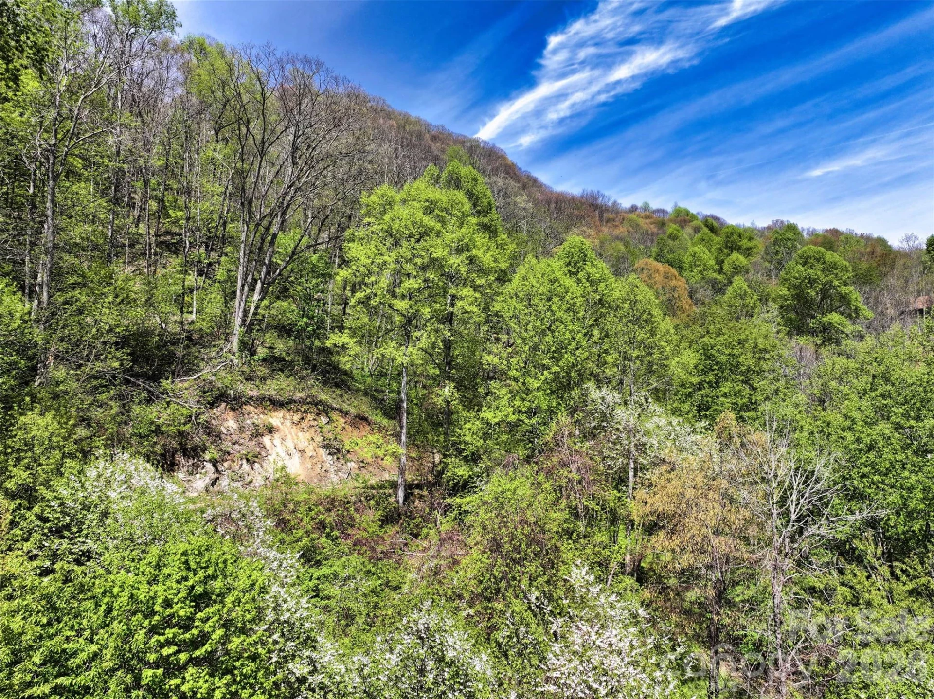 9999 Divit Road #45 - Photo 16